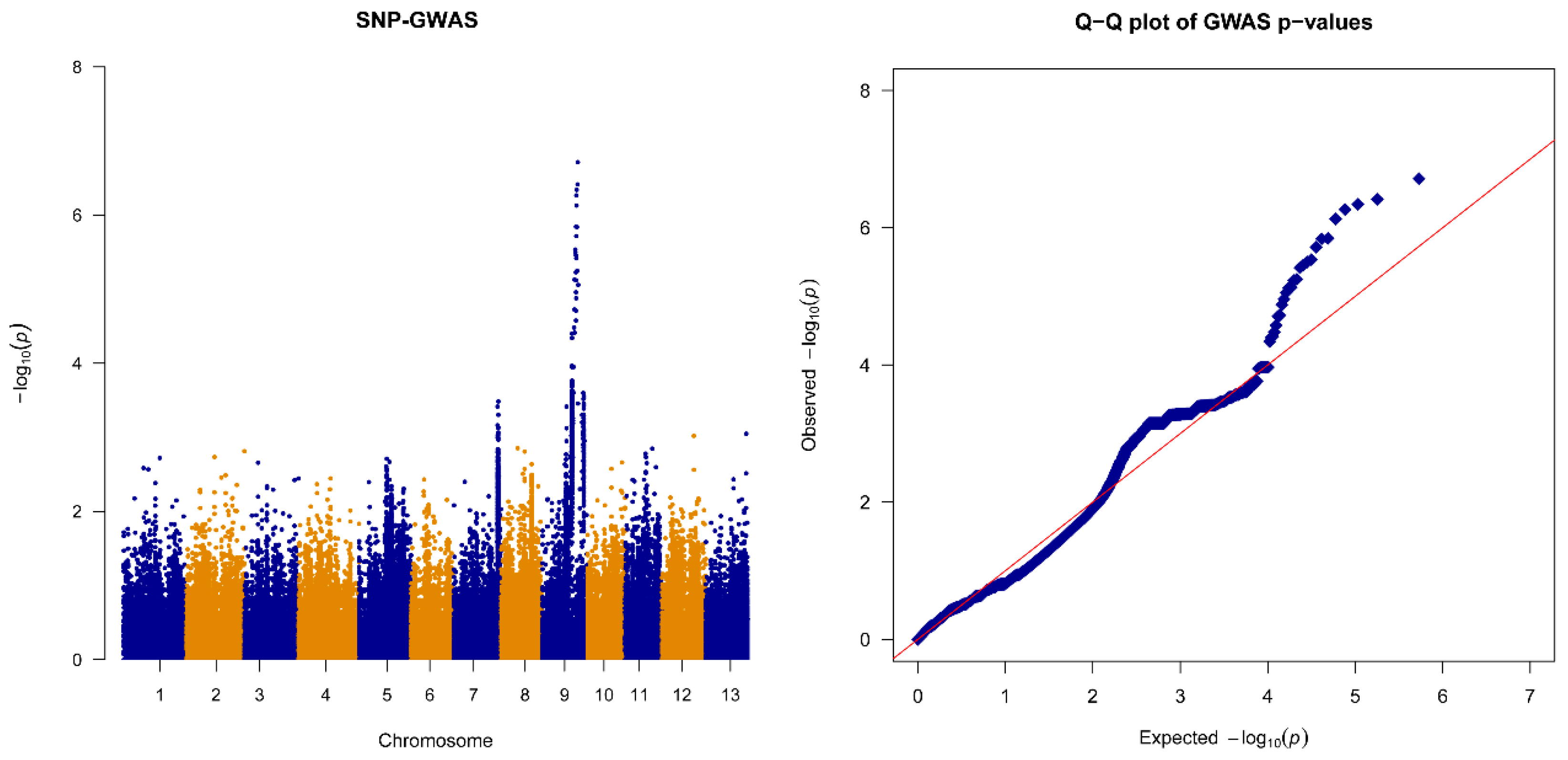 Plants 13 03294 g002
