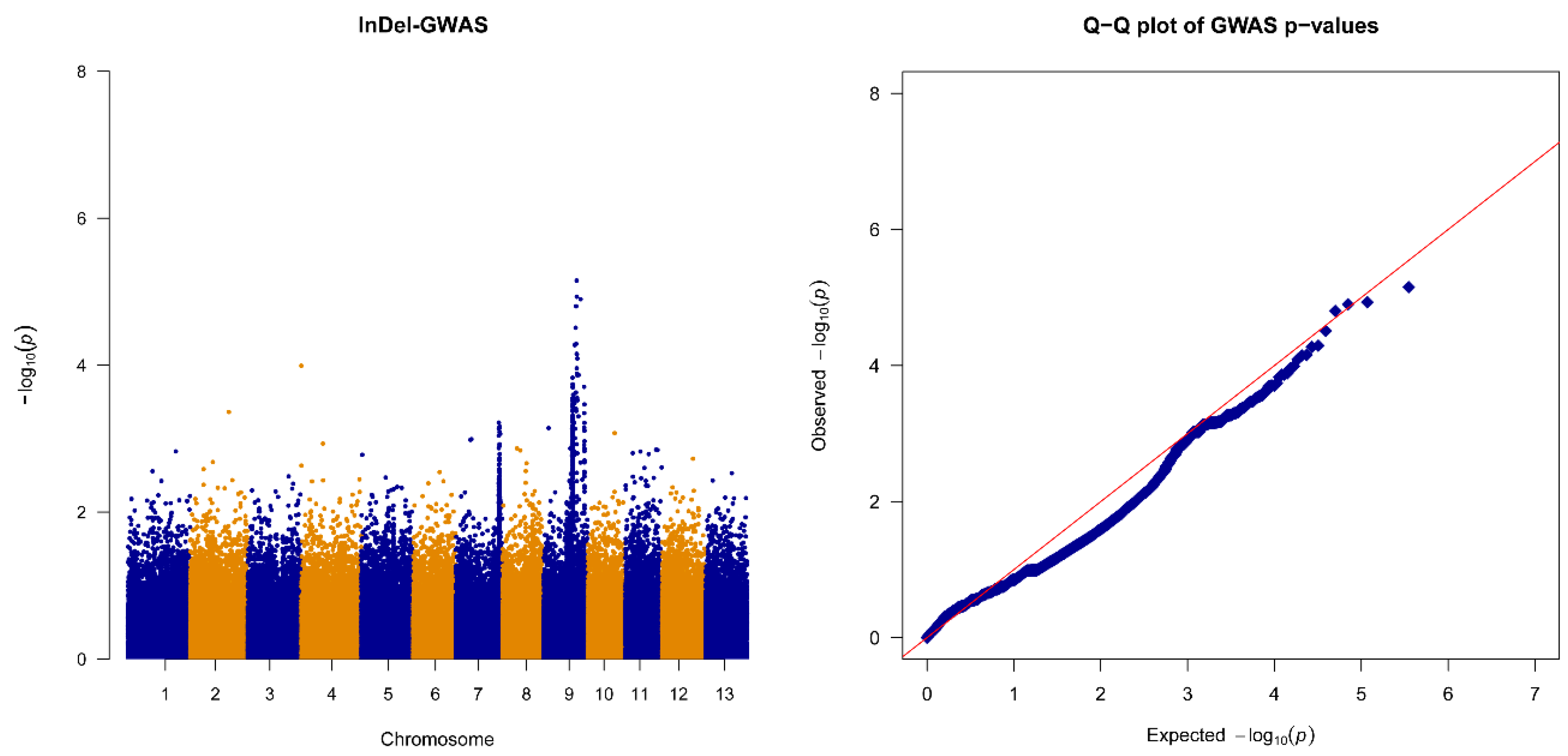 Plants 13 03294 g003