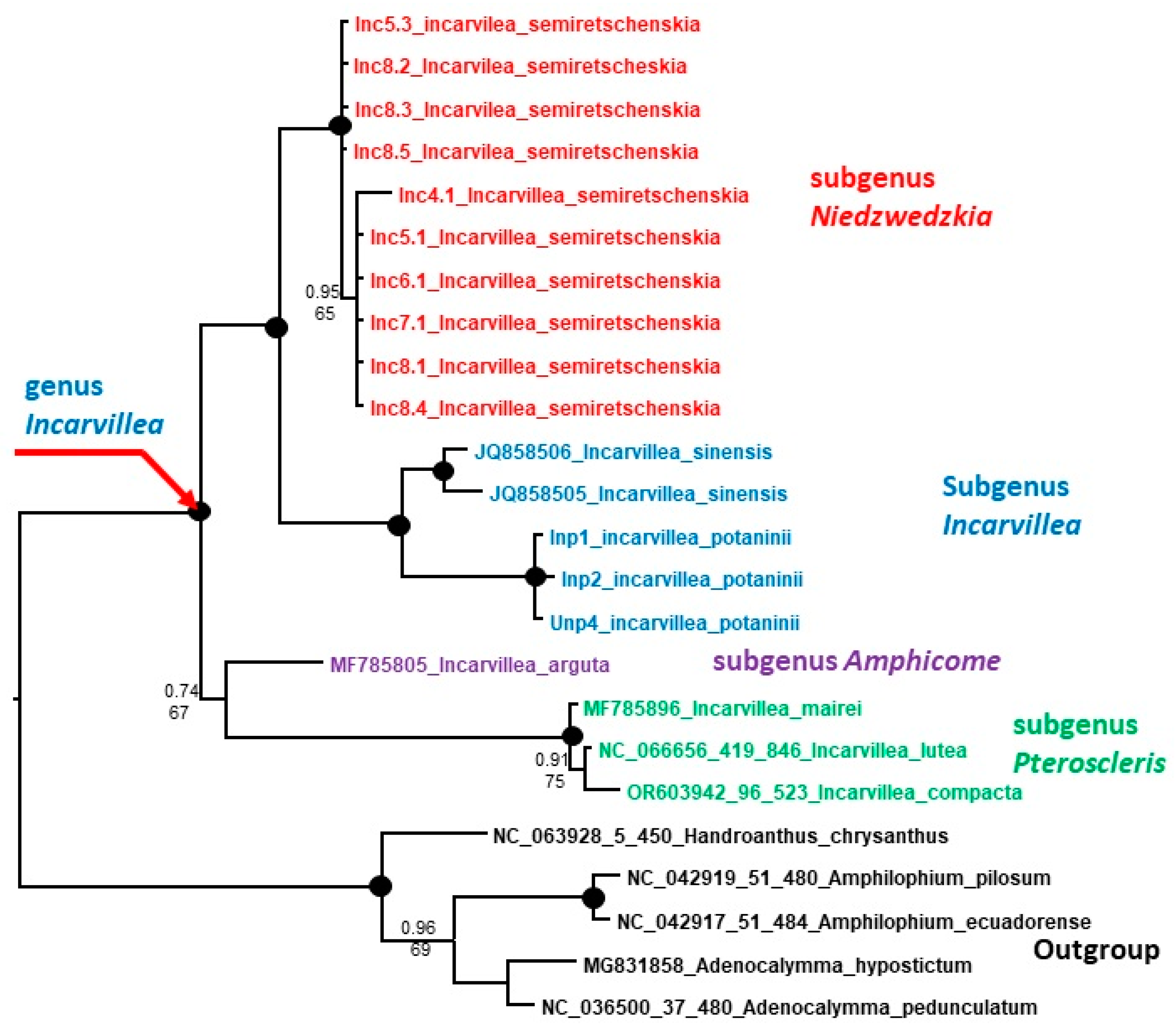Plants 13 03299 g006 Plants 13 03299 g006