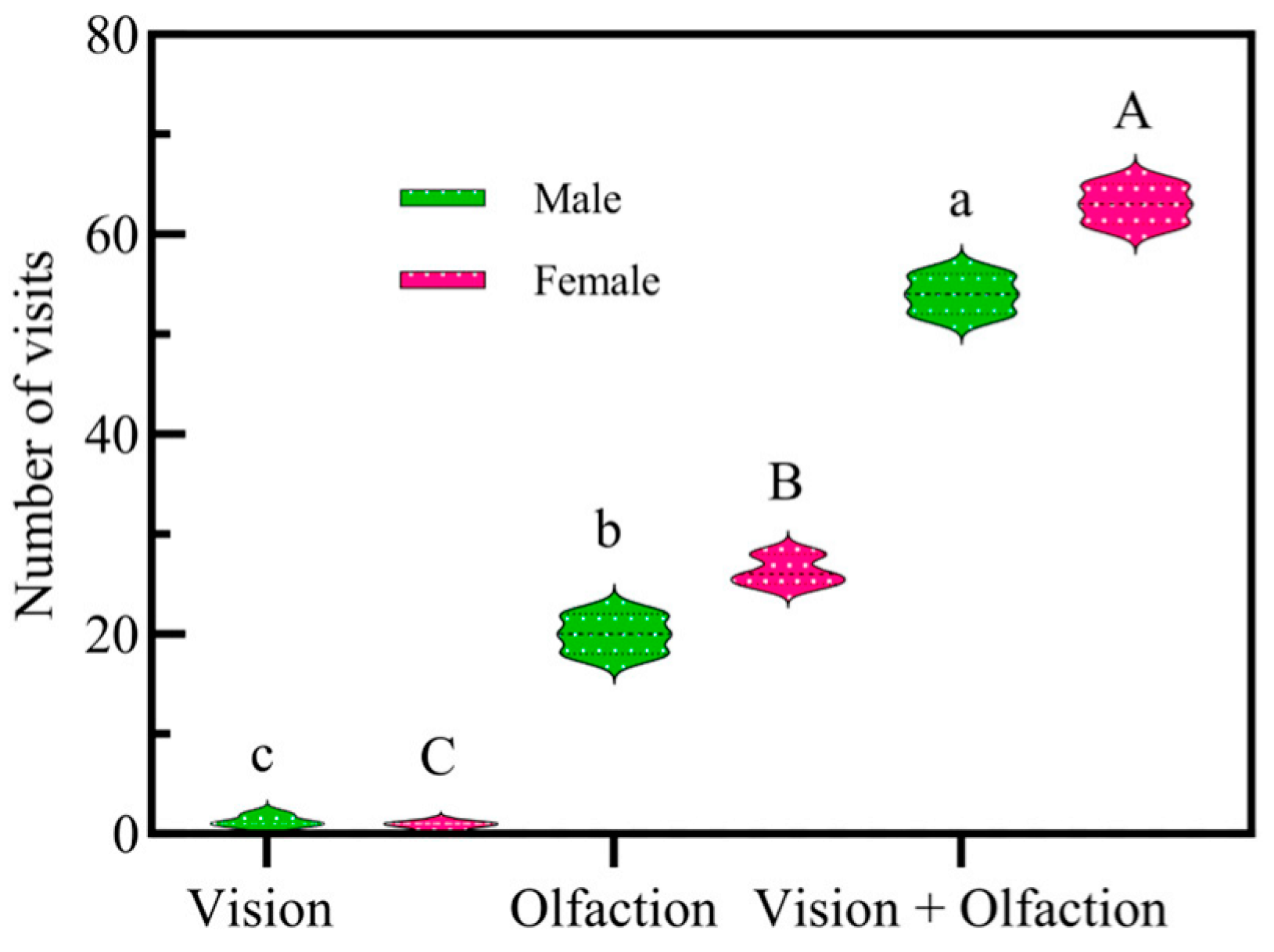 Plants 13 03300 g003