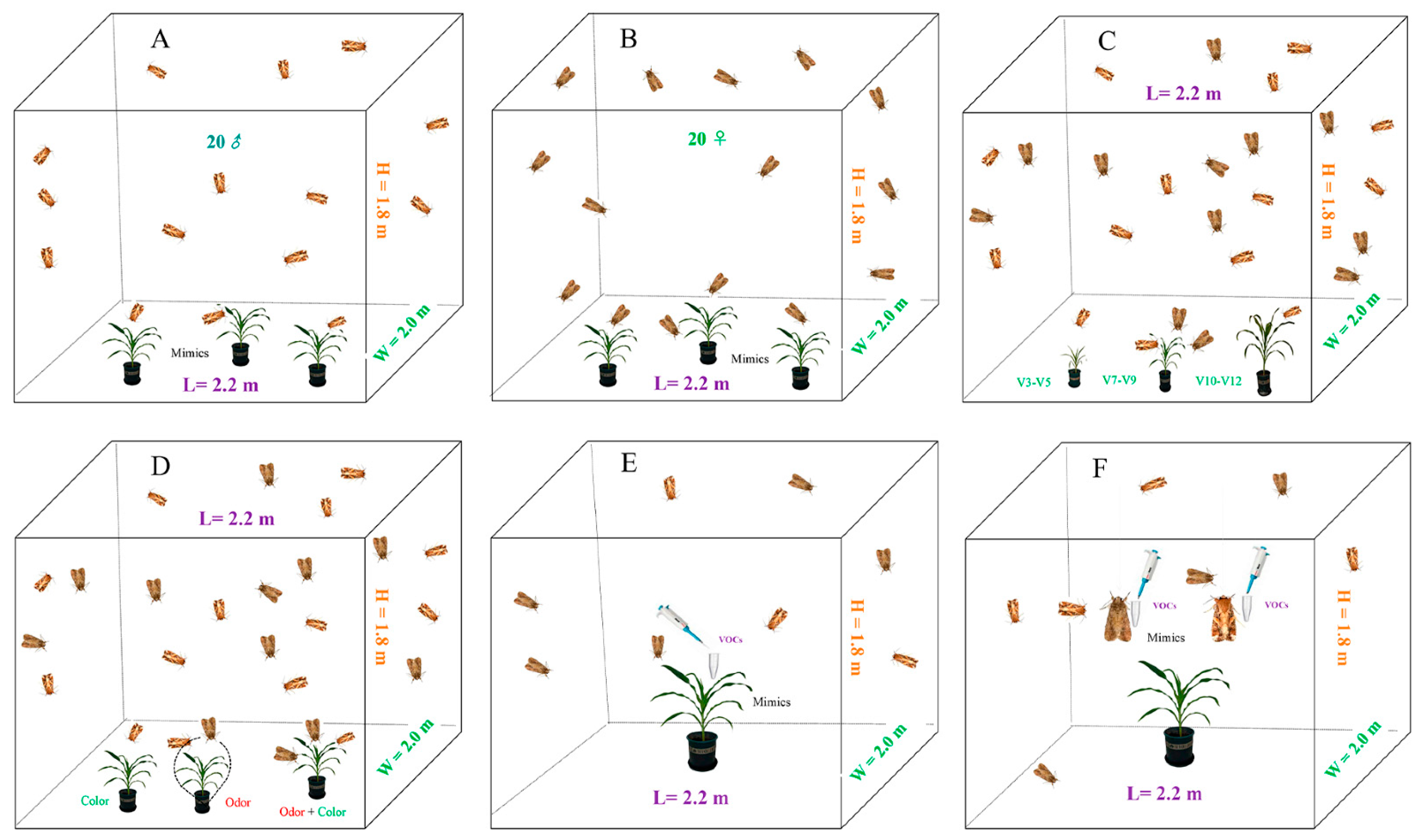 Plants 13 03300 g009