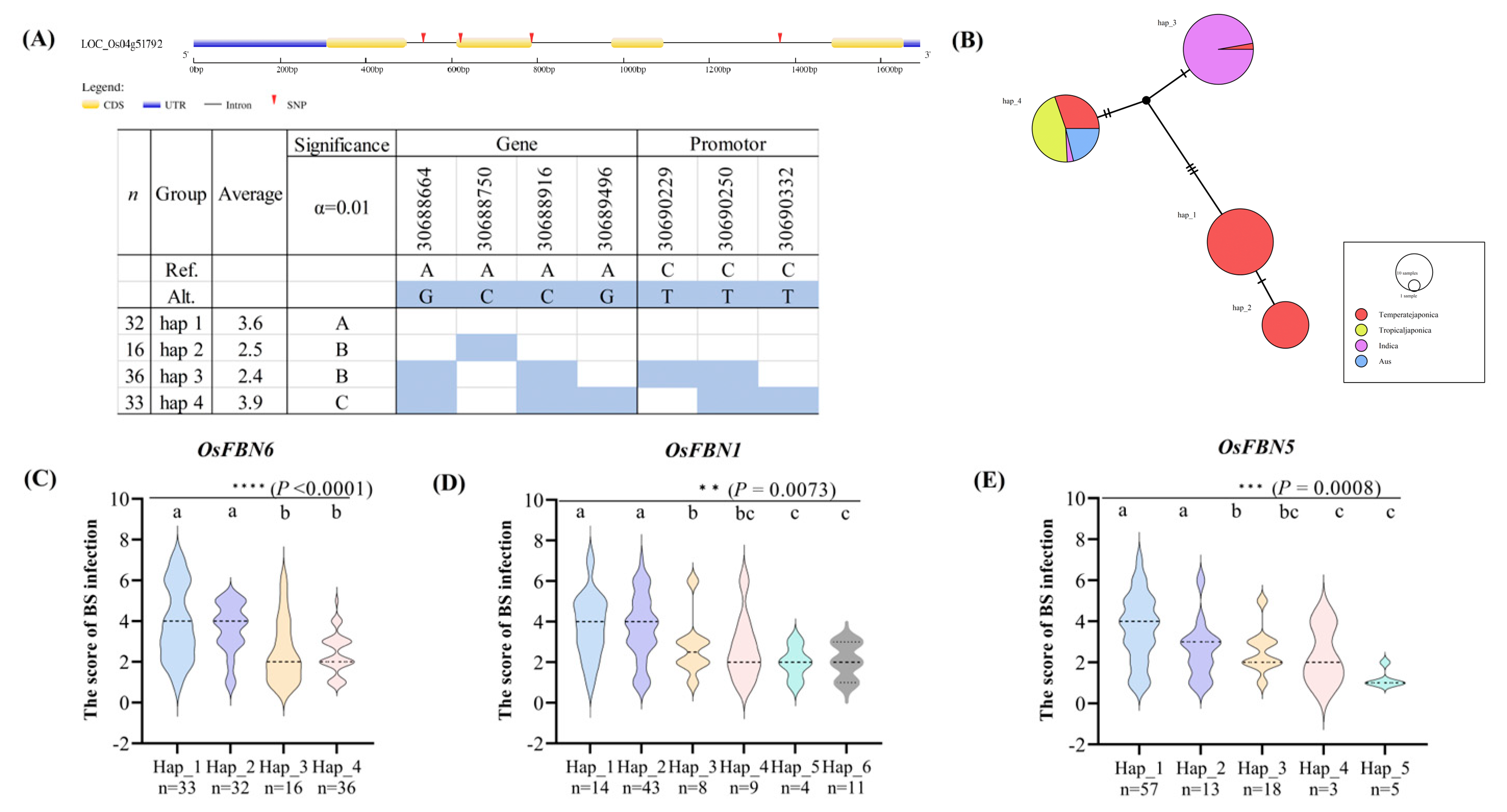 Plants 13 03302 g002