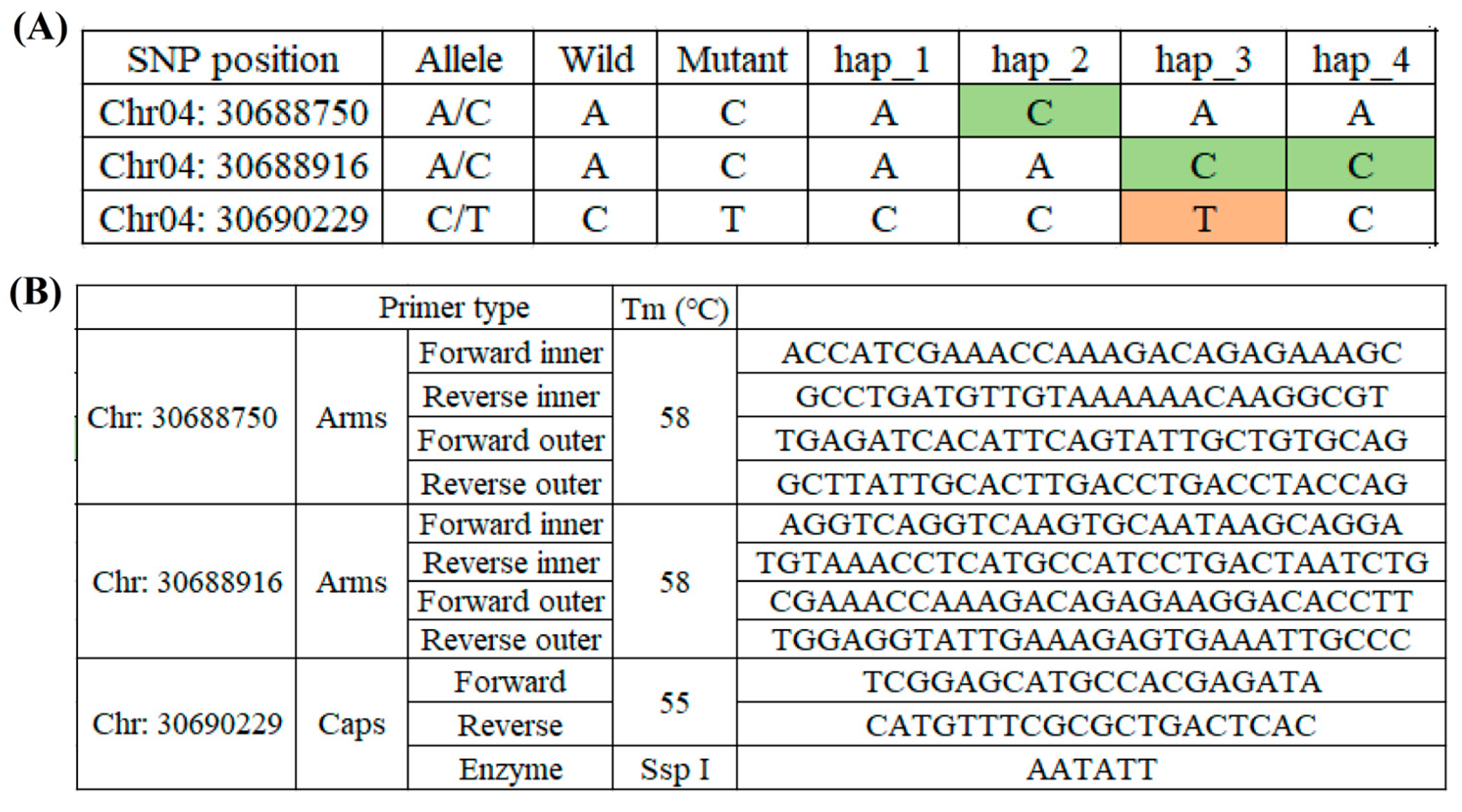 Plants 13 03302 g003