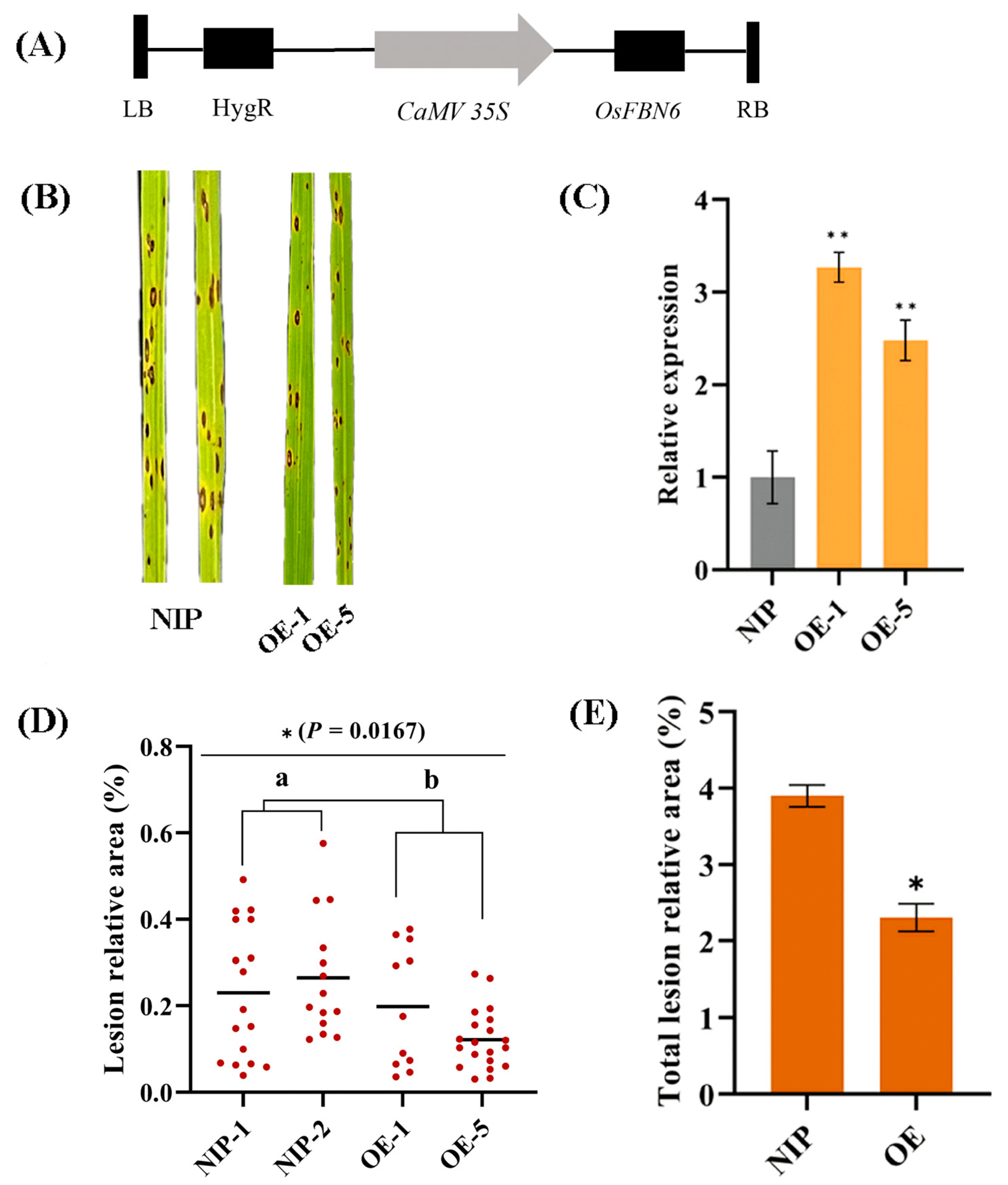 Plants 13 03302 g005
