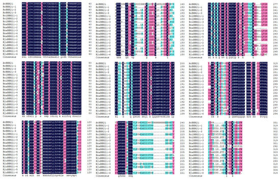 Molecular Functional and Transcriptome Analysis of Arabidopsis thaliana ...