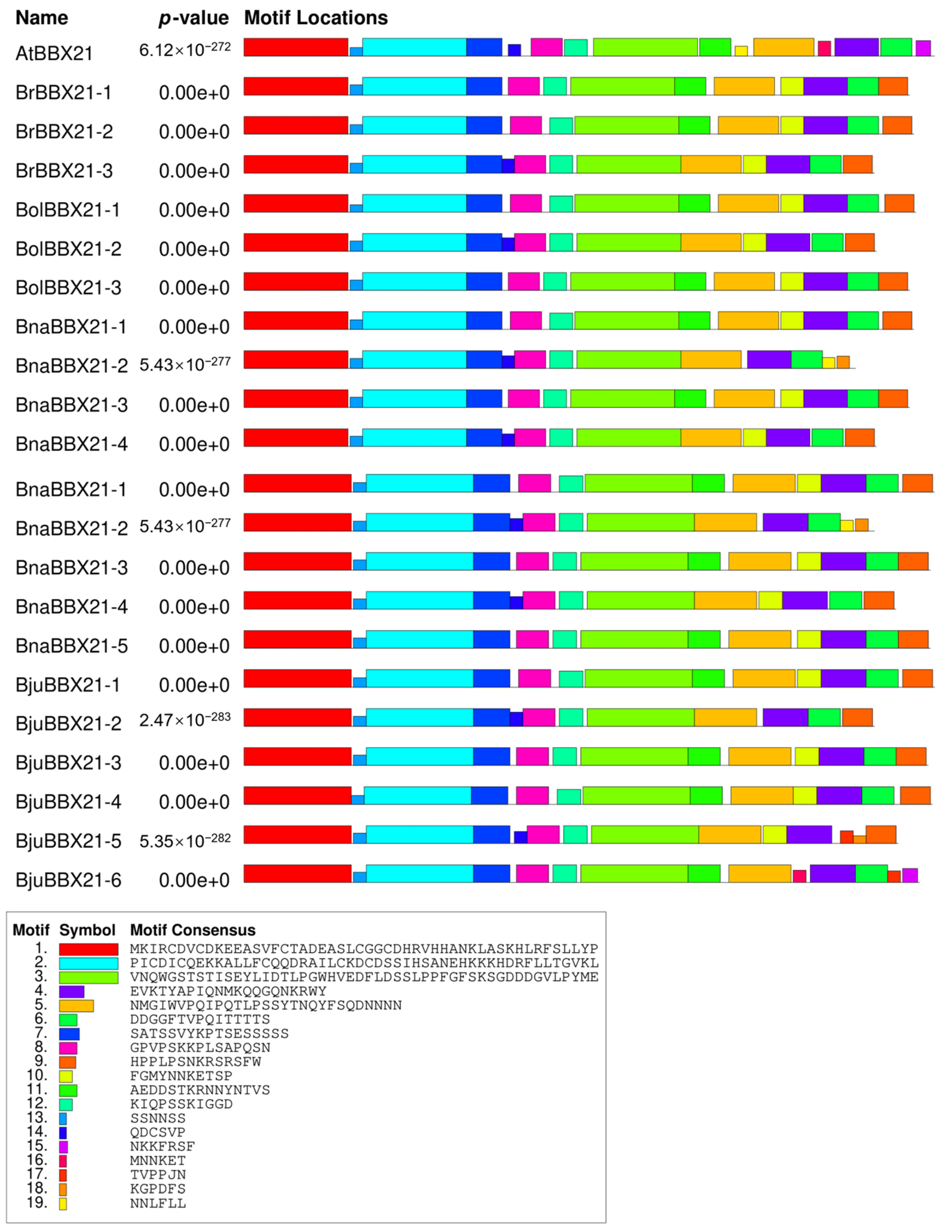 Plants 13 03306 g002