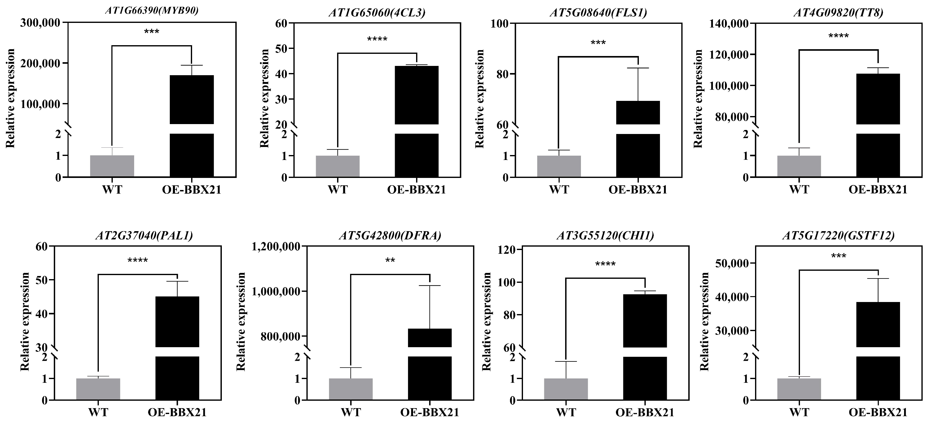 Plants 13 03306 g011