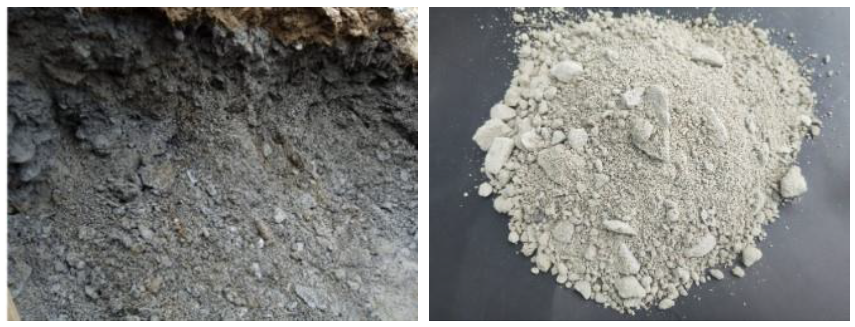 Plants 13 03307 g009