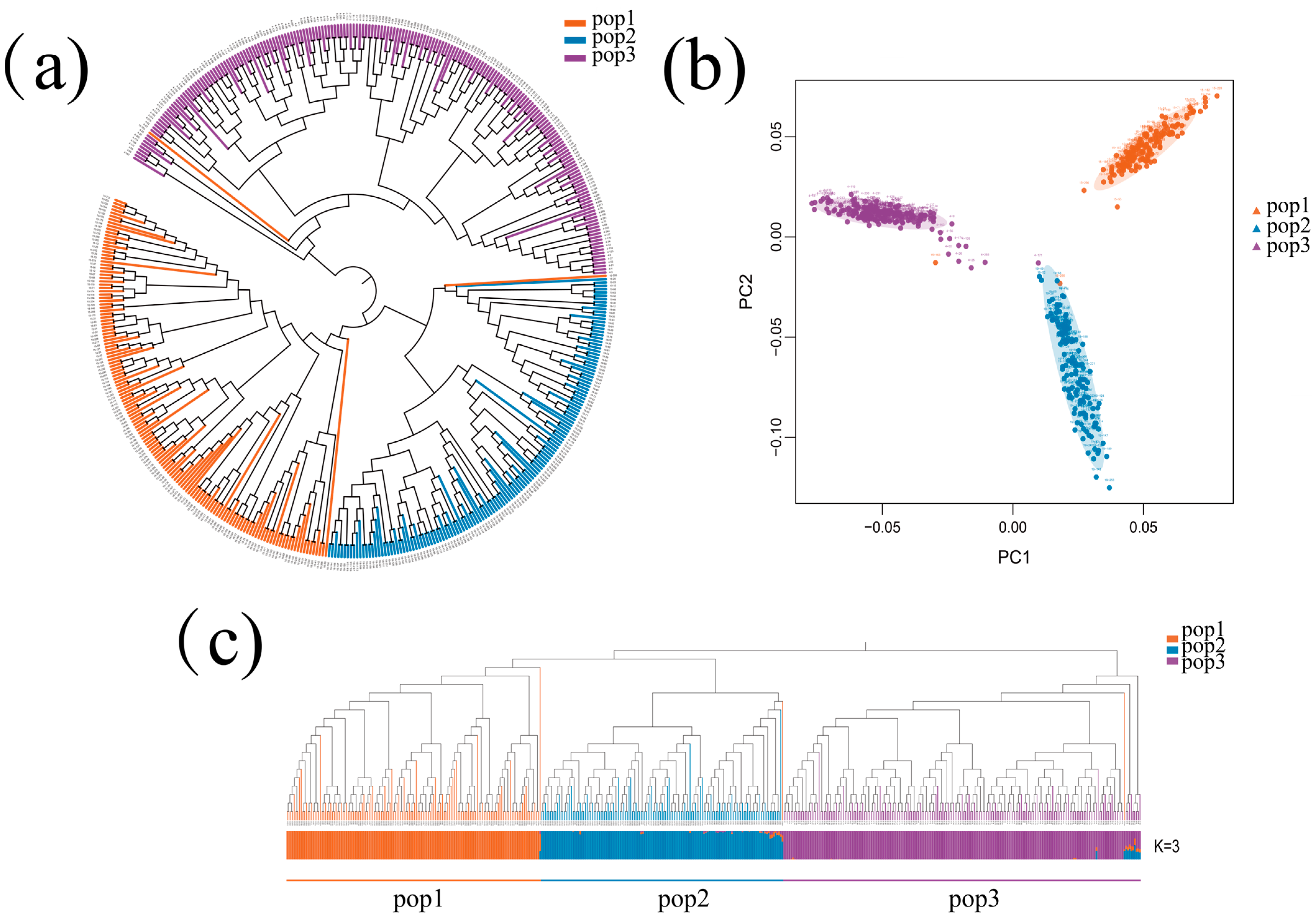 Plants 13 03308 g003