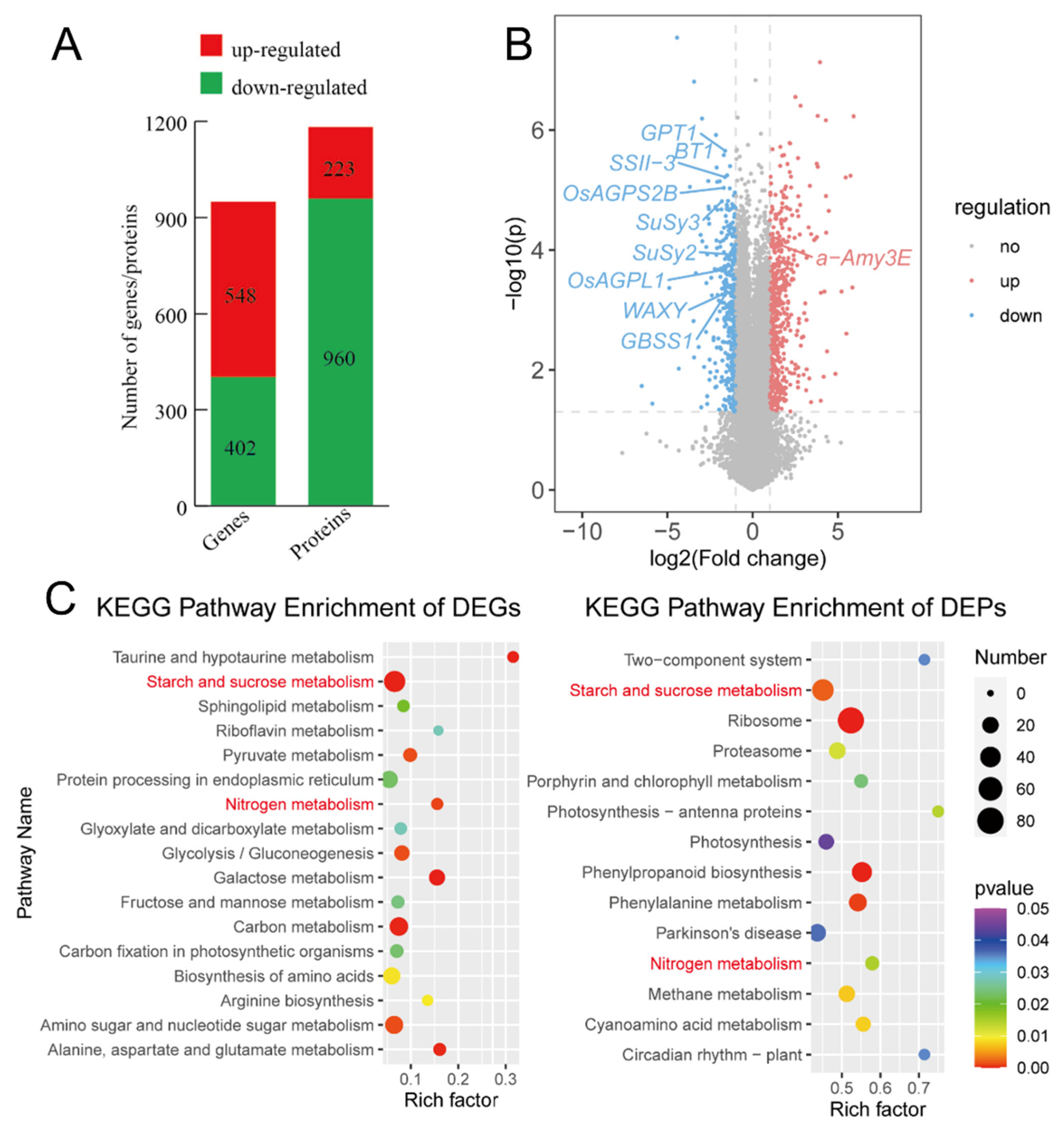 Plants 13 03309 g003 Plants 13 03309 g003