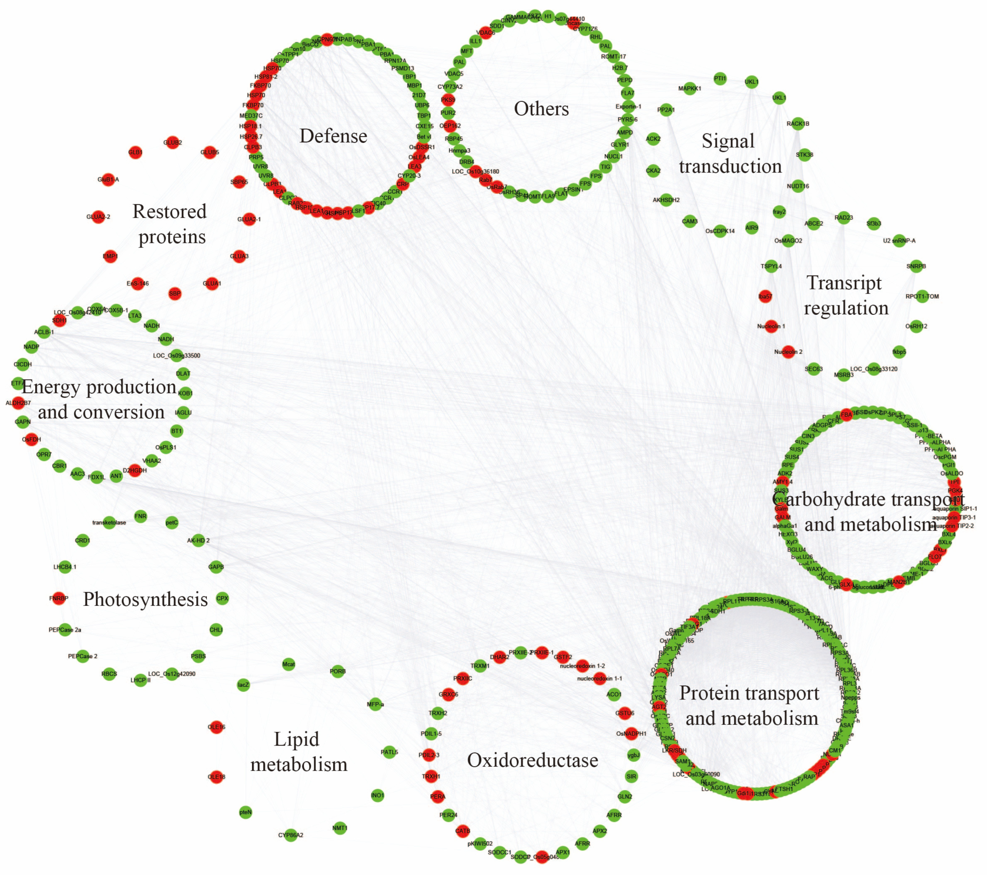 Plants 13 03309 g004 Plants 13 03309 g004