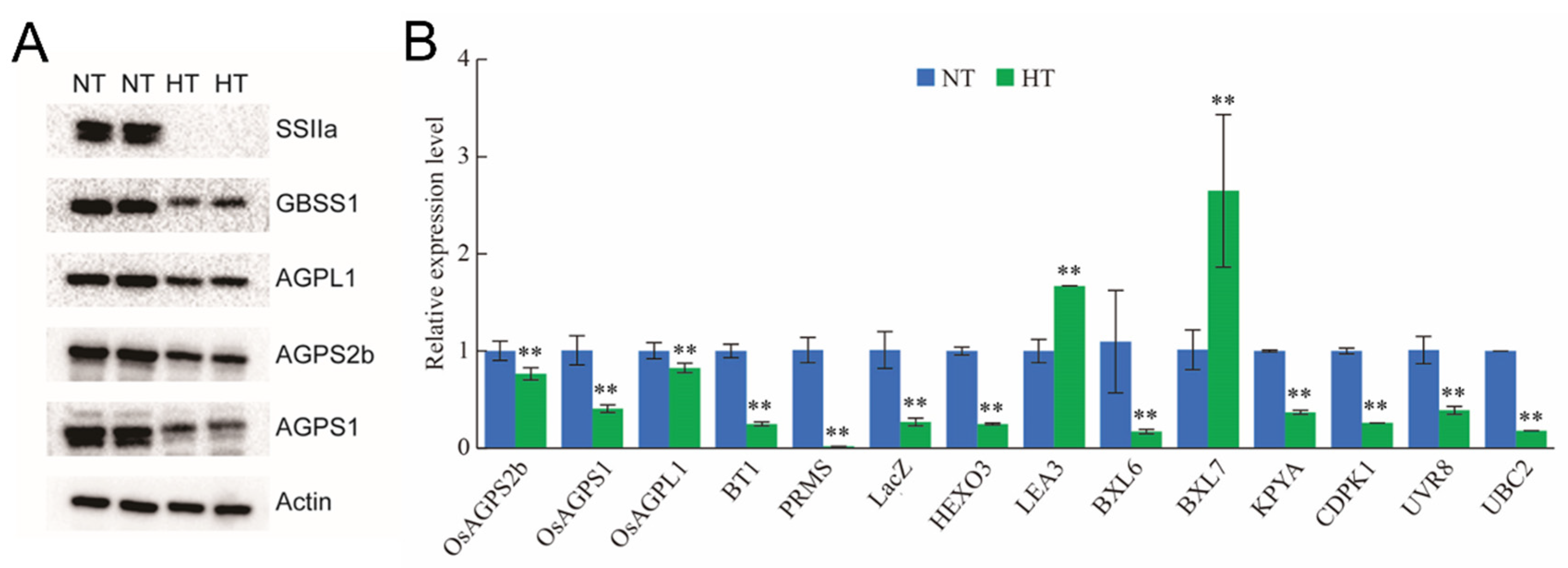 Plants 13 03309 g006 Plants 13 03309 g006