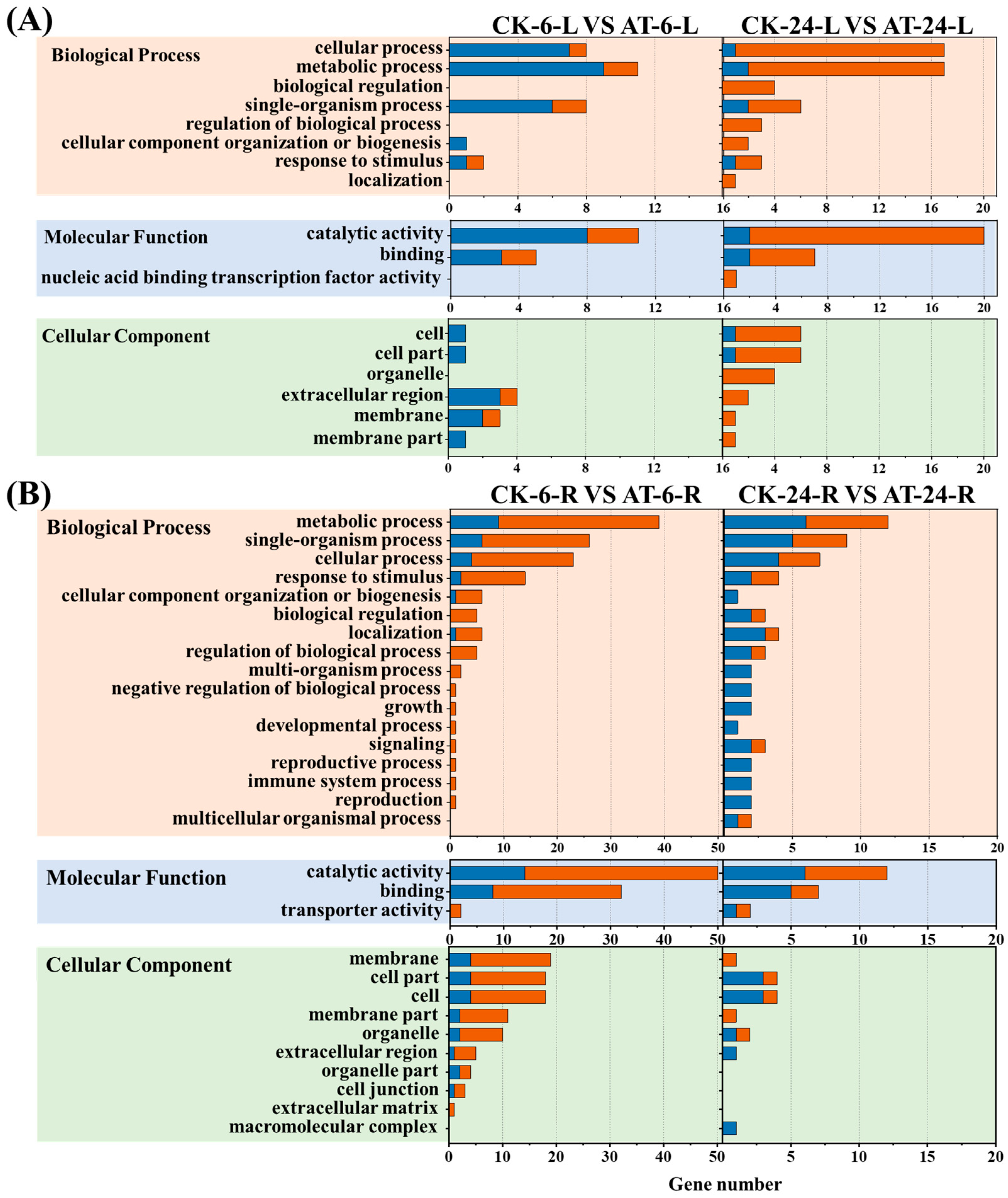 Plants 13 03312 g002
