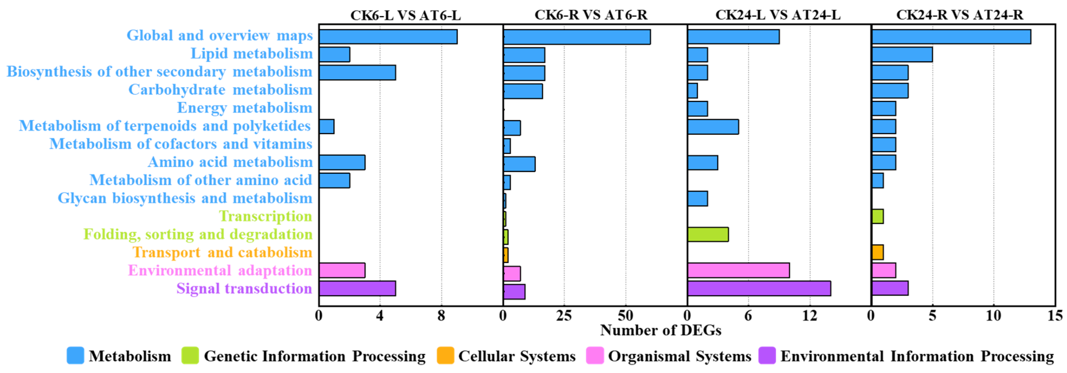 Plants 13 03312 g003