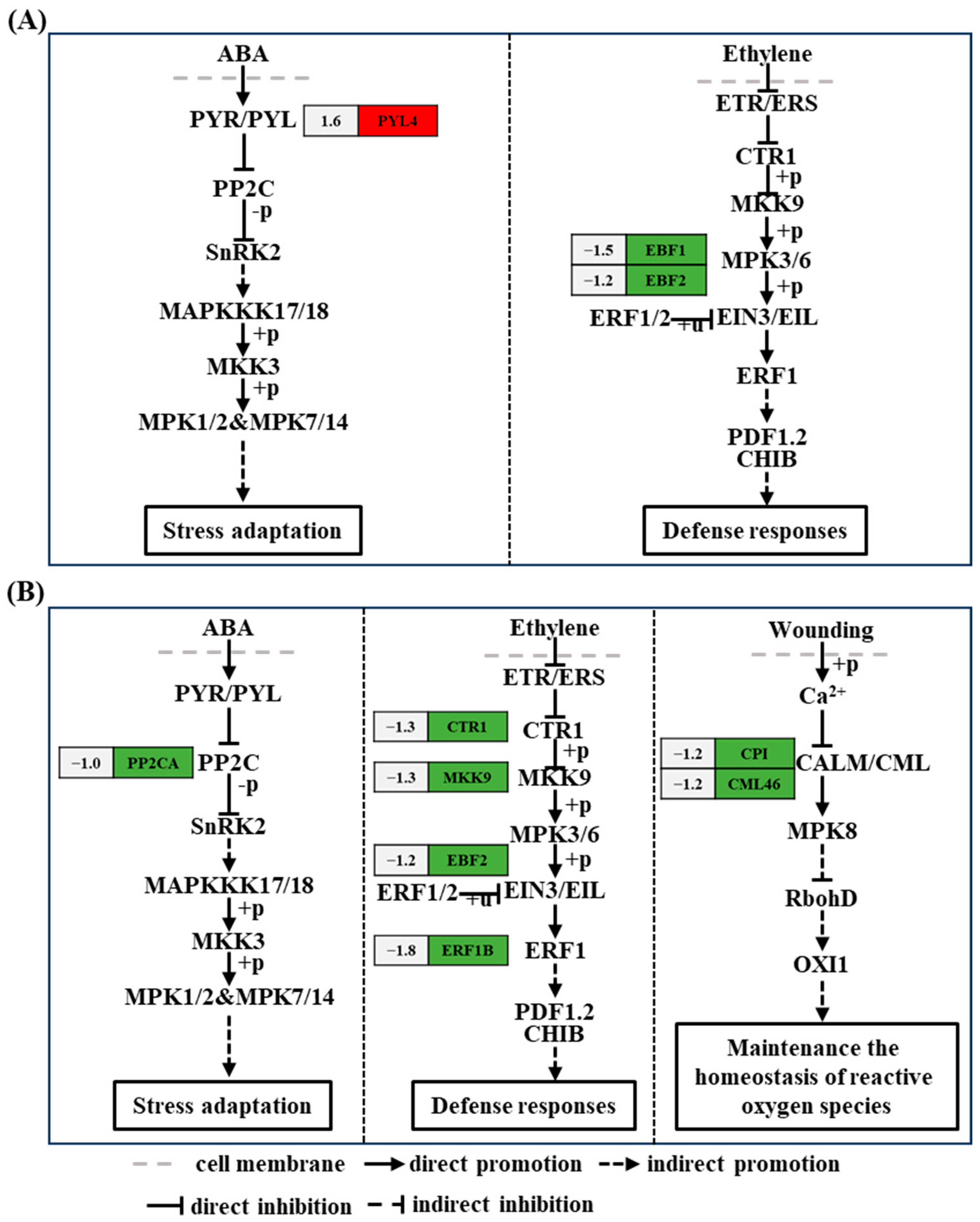 Plants 13 03312 g005
