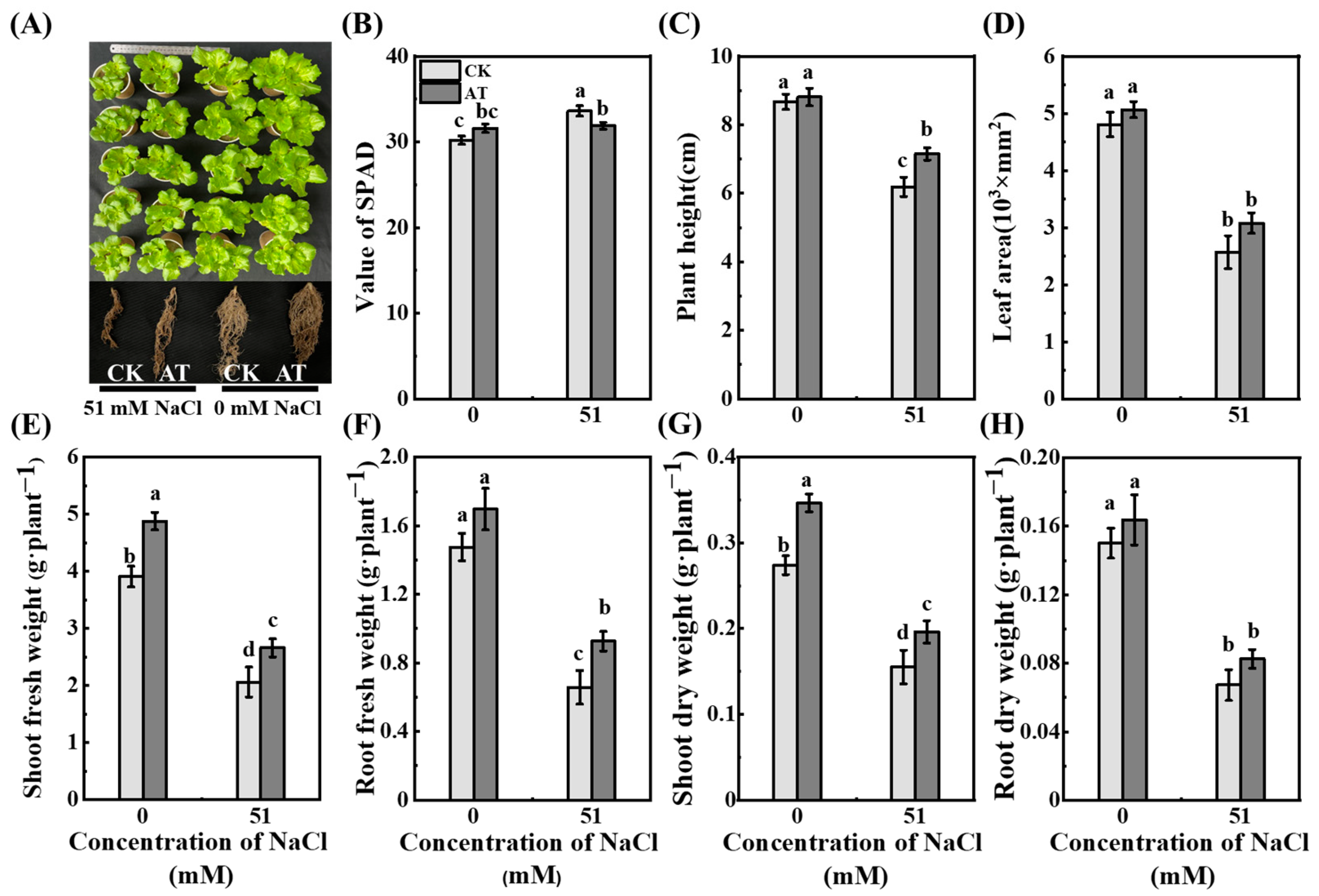 Plants 13 03312 g007