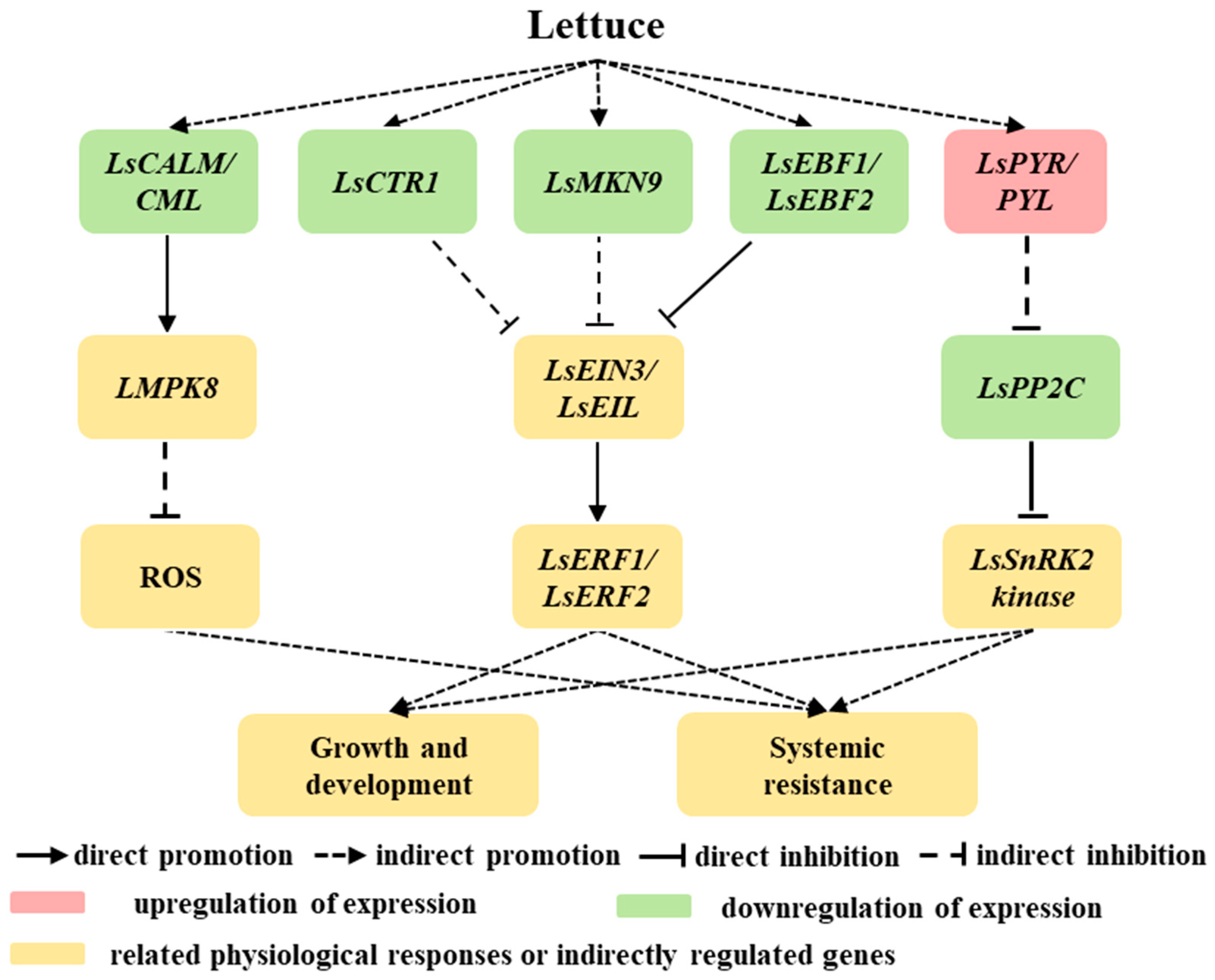 Plants 13 03312 g010