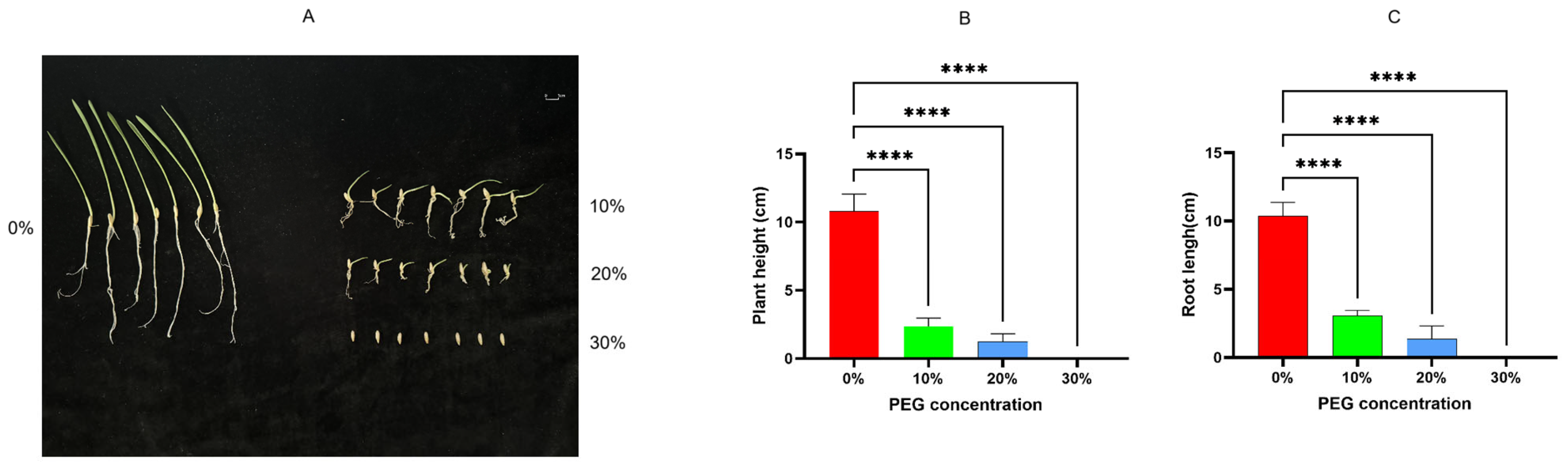 Plants 13 03317 g001