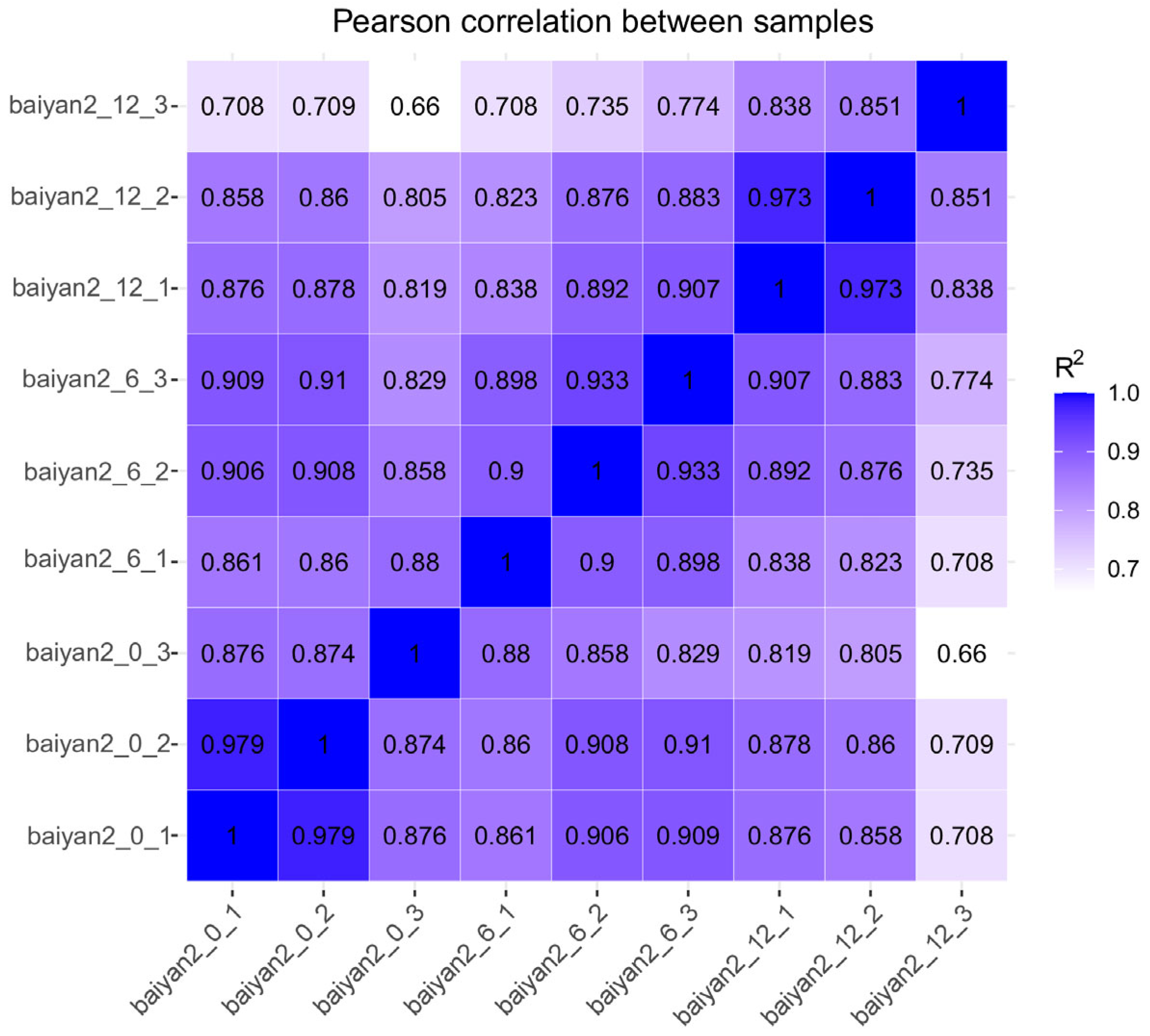 Plants 13 03317 g004
