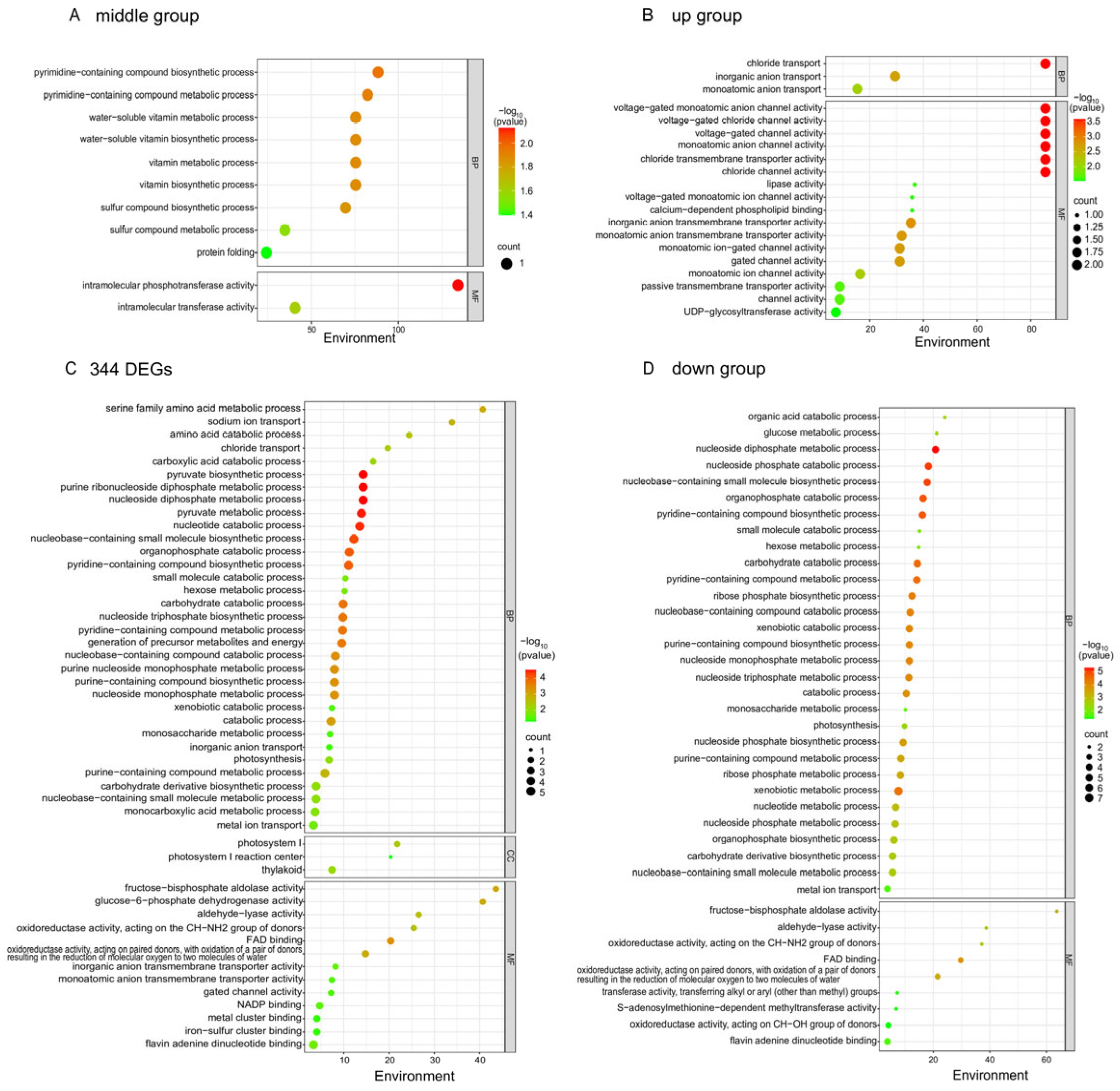 Plants 13 03317 g007