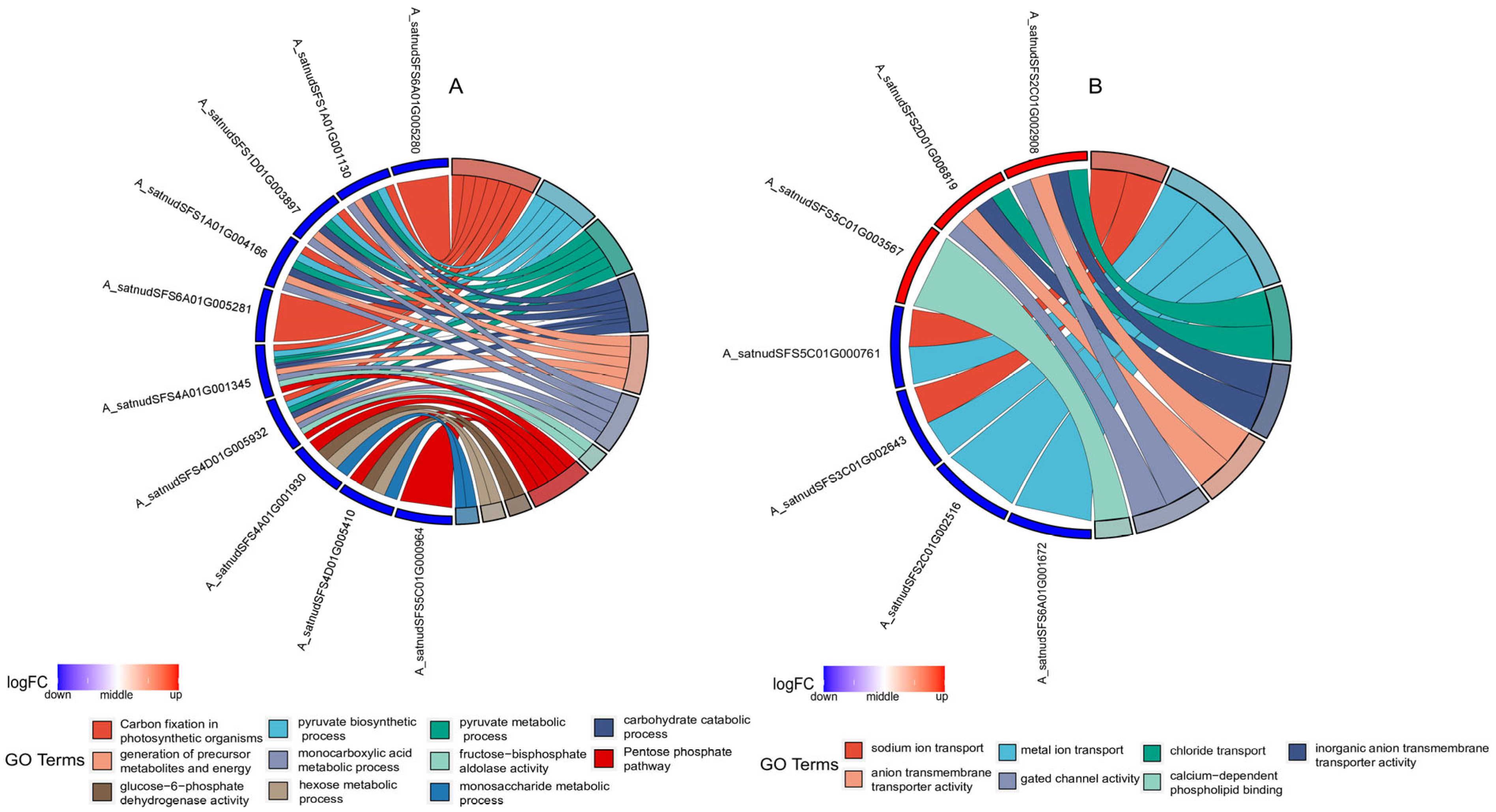 Plants 13 03317 g009