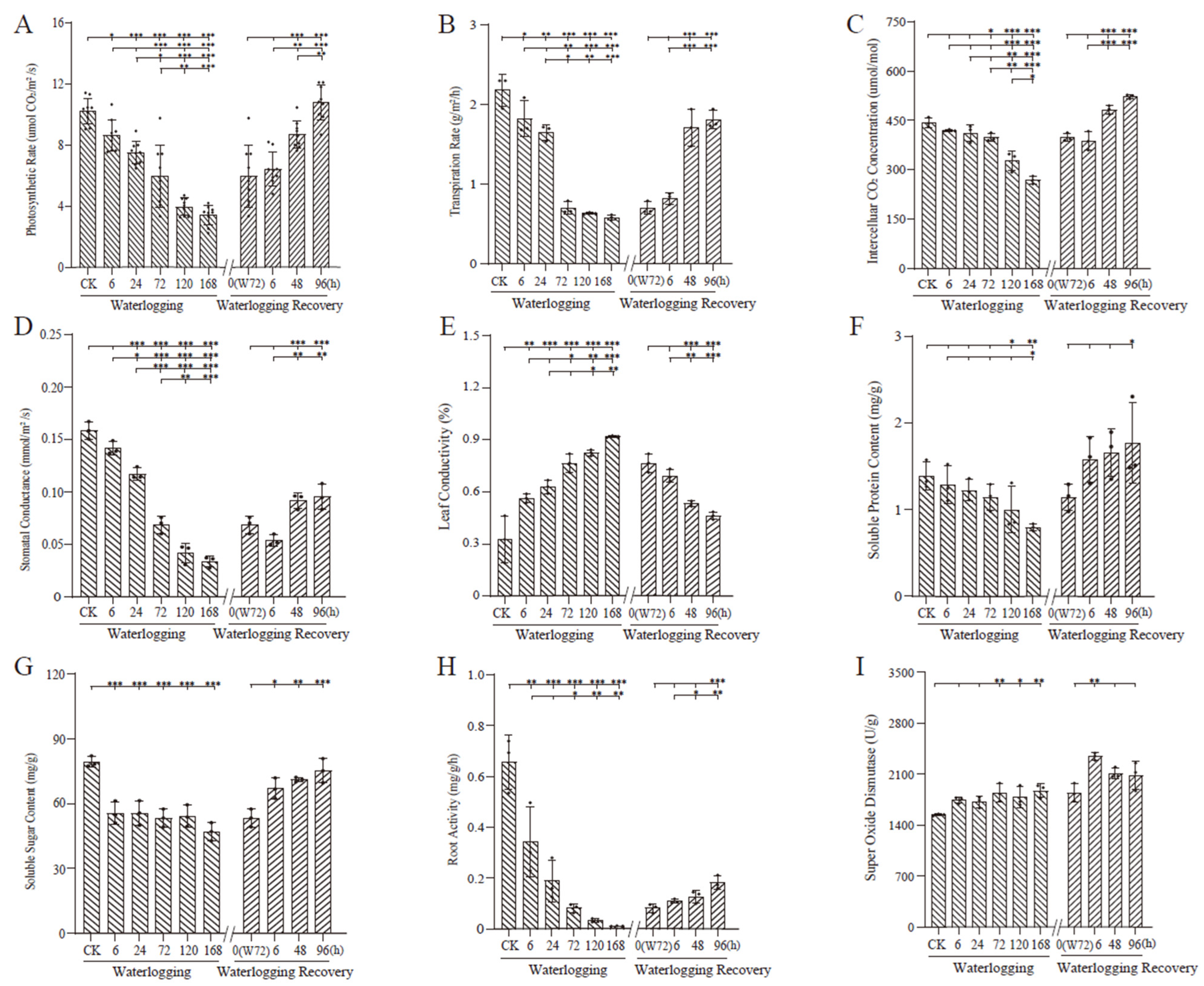 Plants 13 03324 g002
