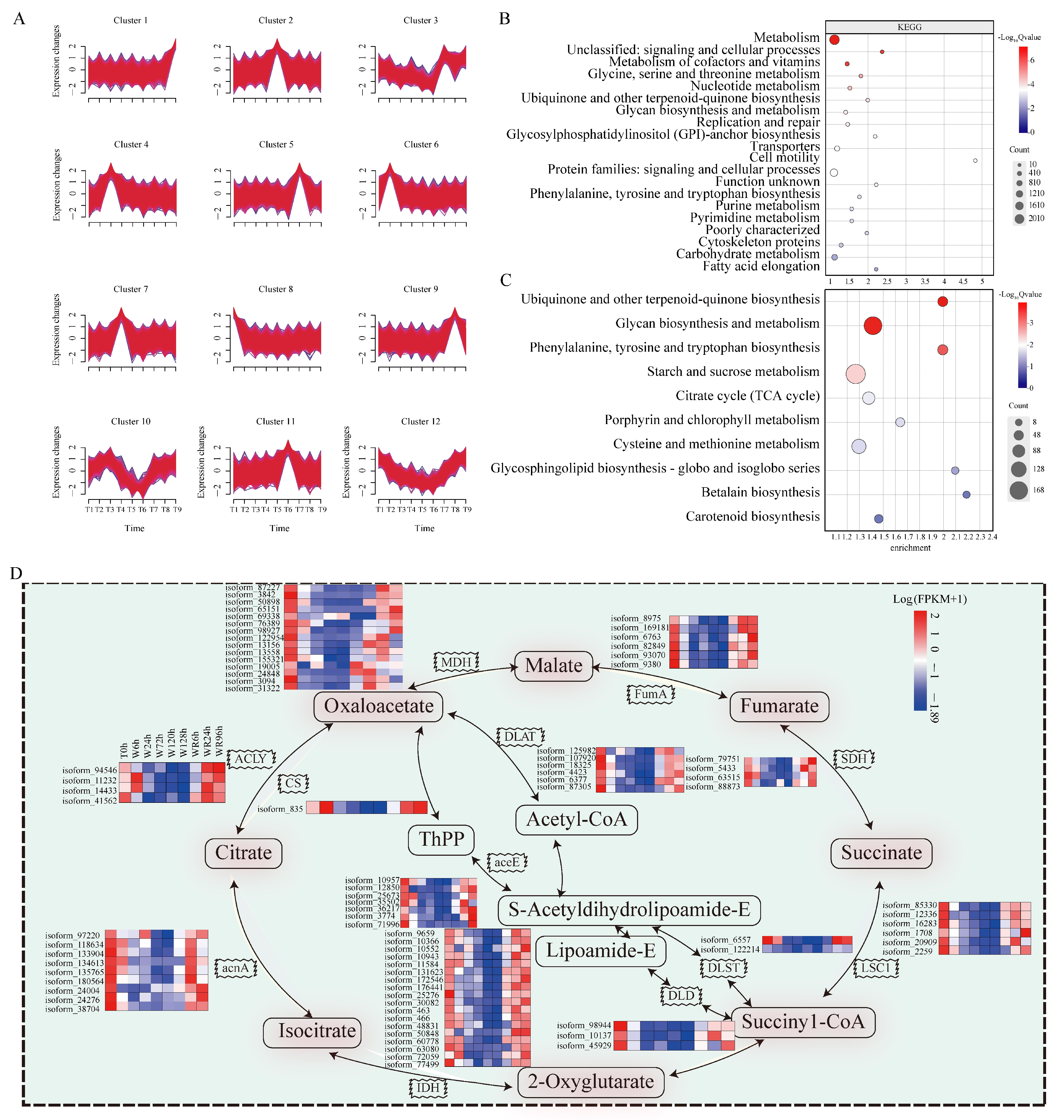 Plants 13 03324 g003