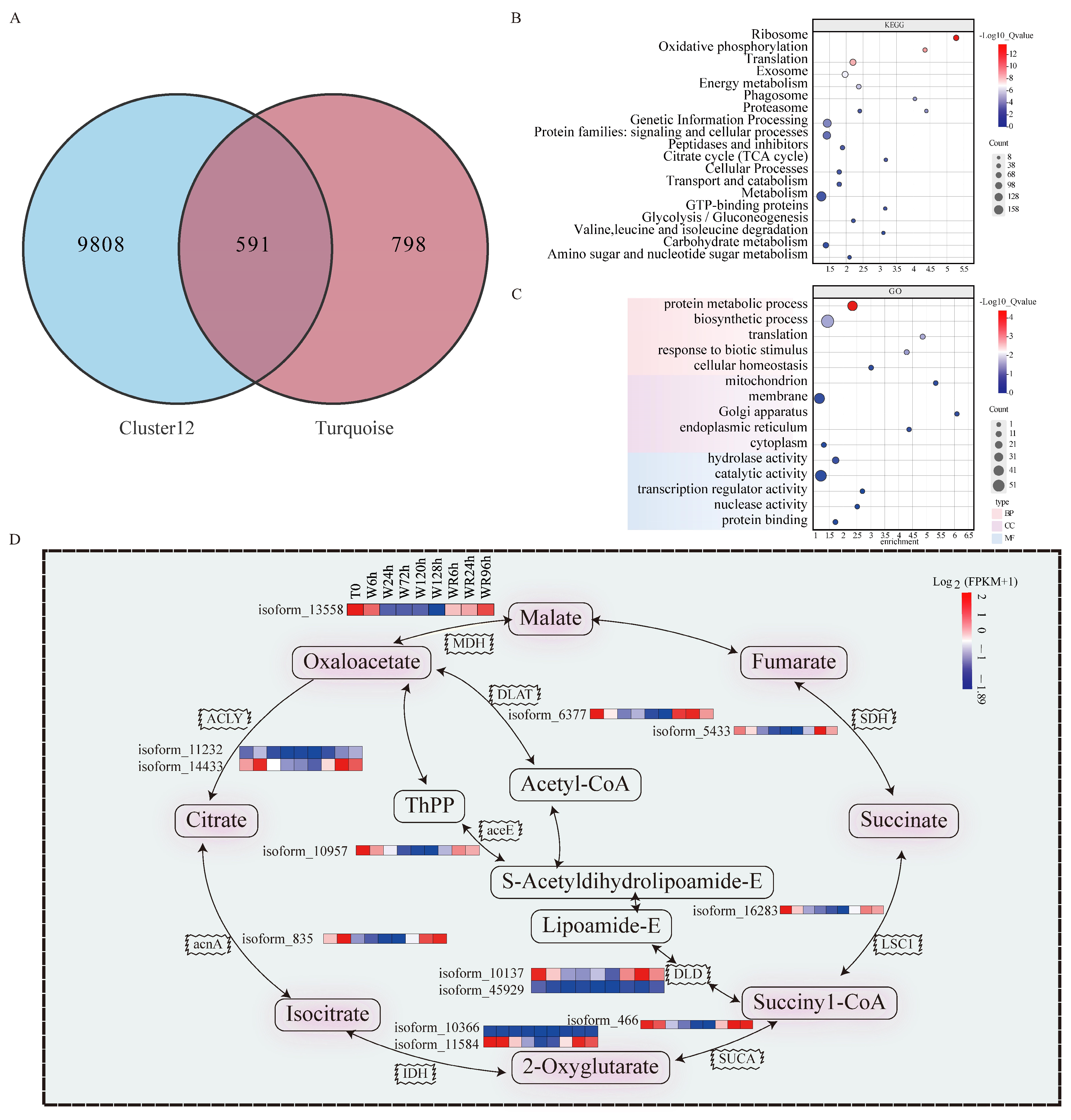 Plants 13 03324 g005