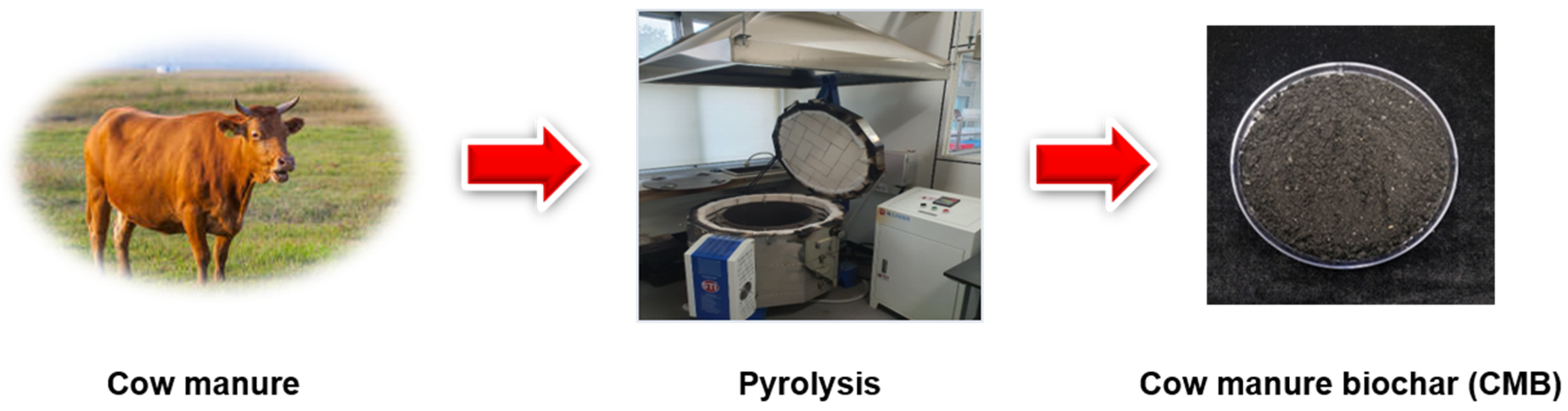 Plants 13 03326 g001