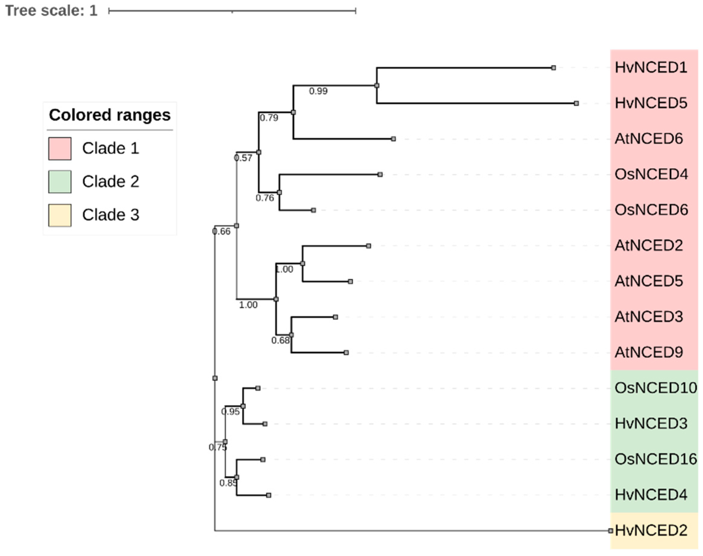 Plants 13 03327 g001