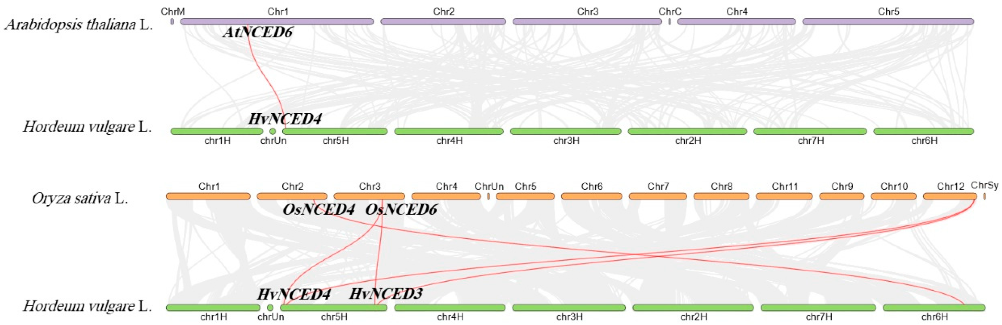 Plants 13 03327 g003