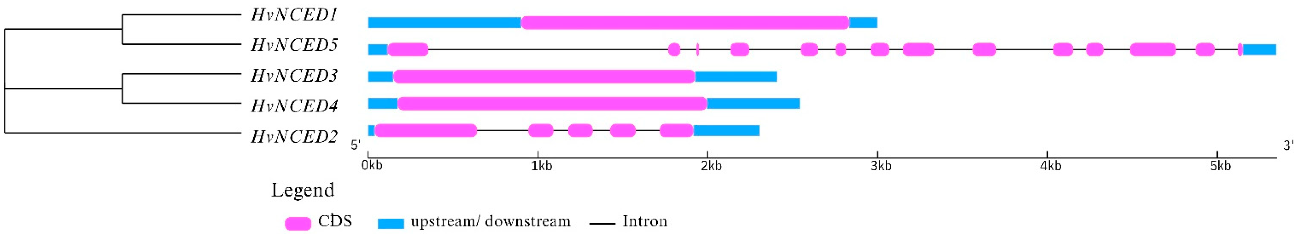 Plants 13 03327 g005