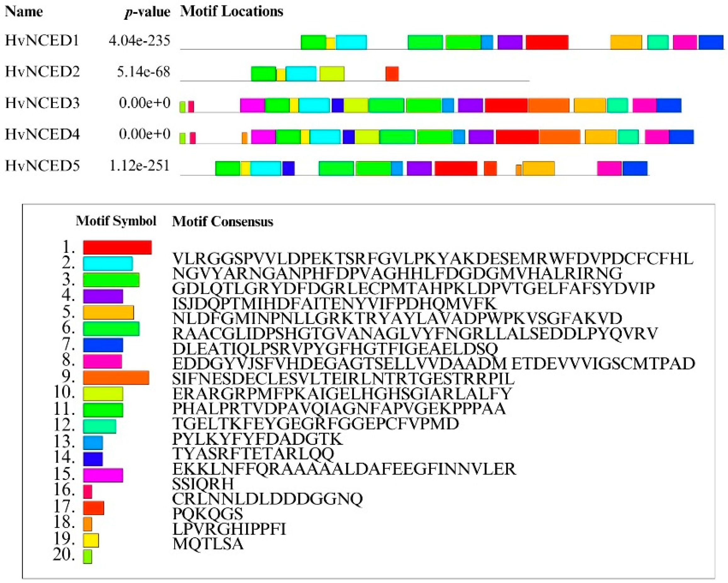 Plants 13 03327 g006