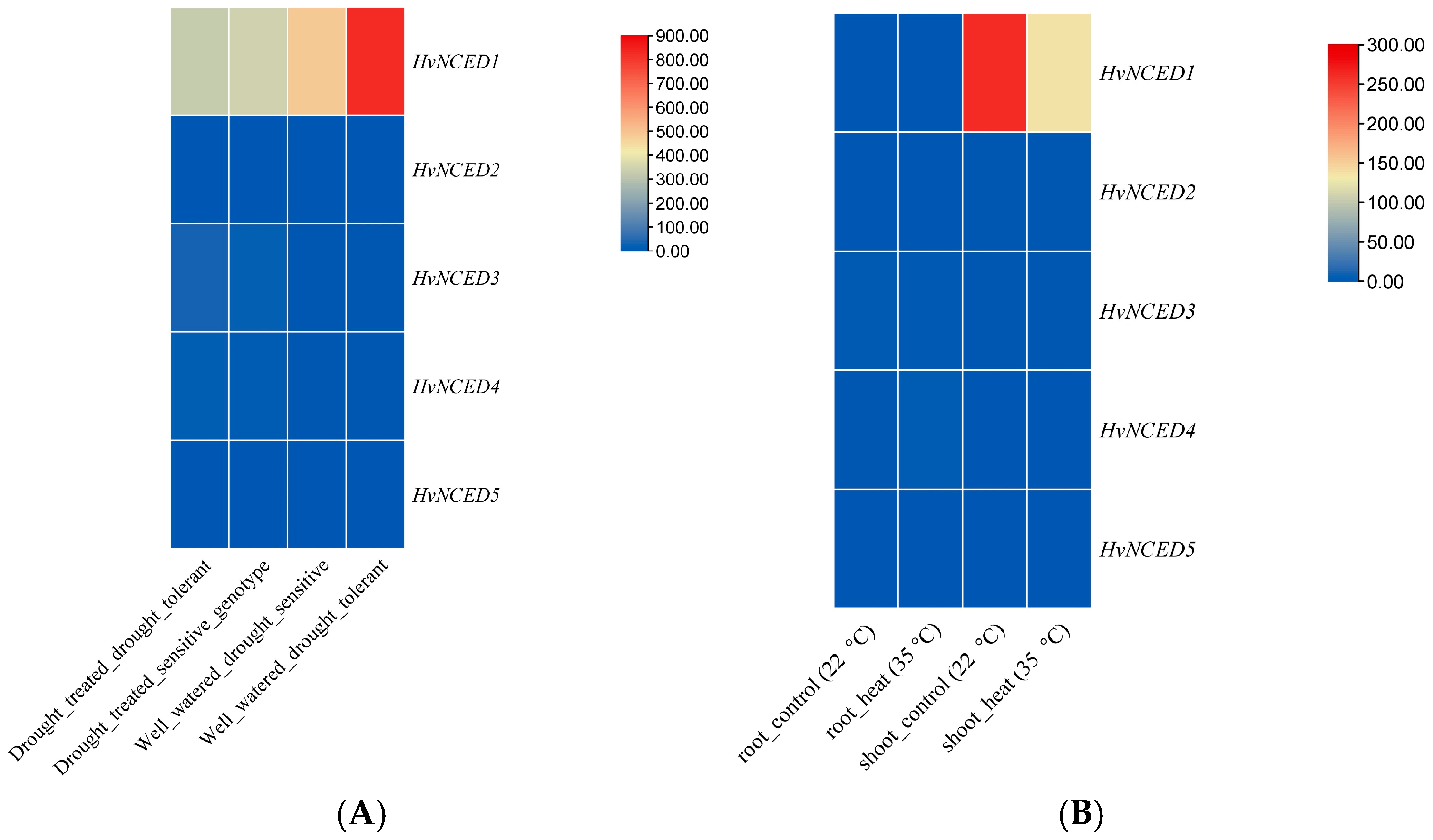 Plants 13 03327 g008