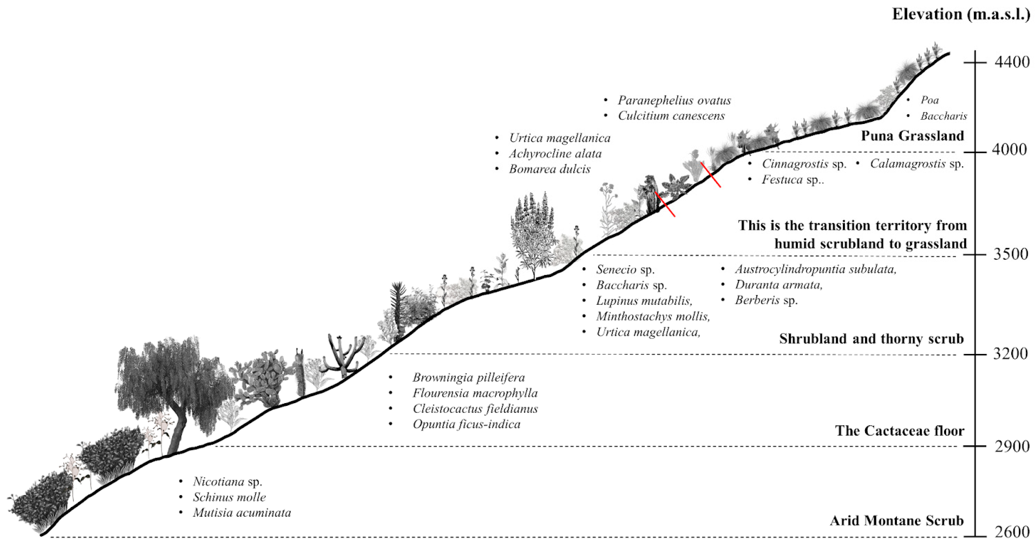 Plants 13 03328 g002
