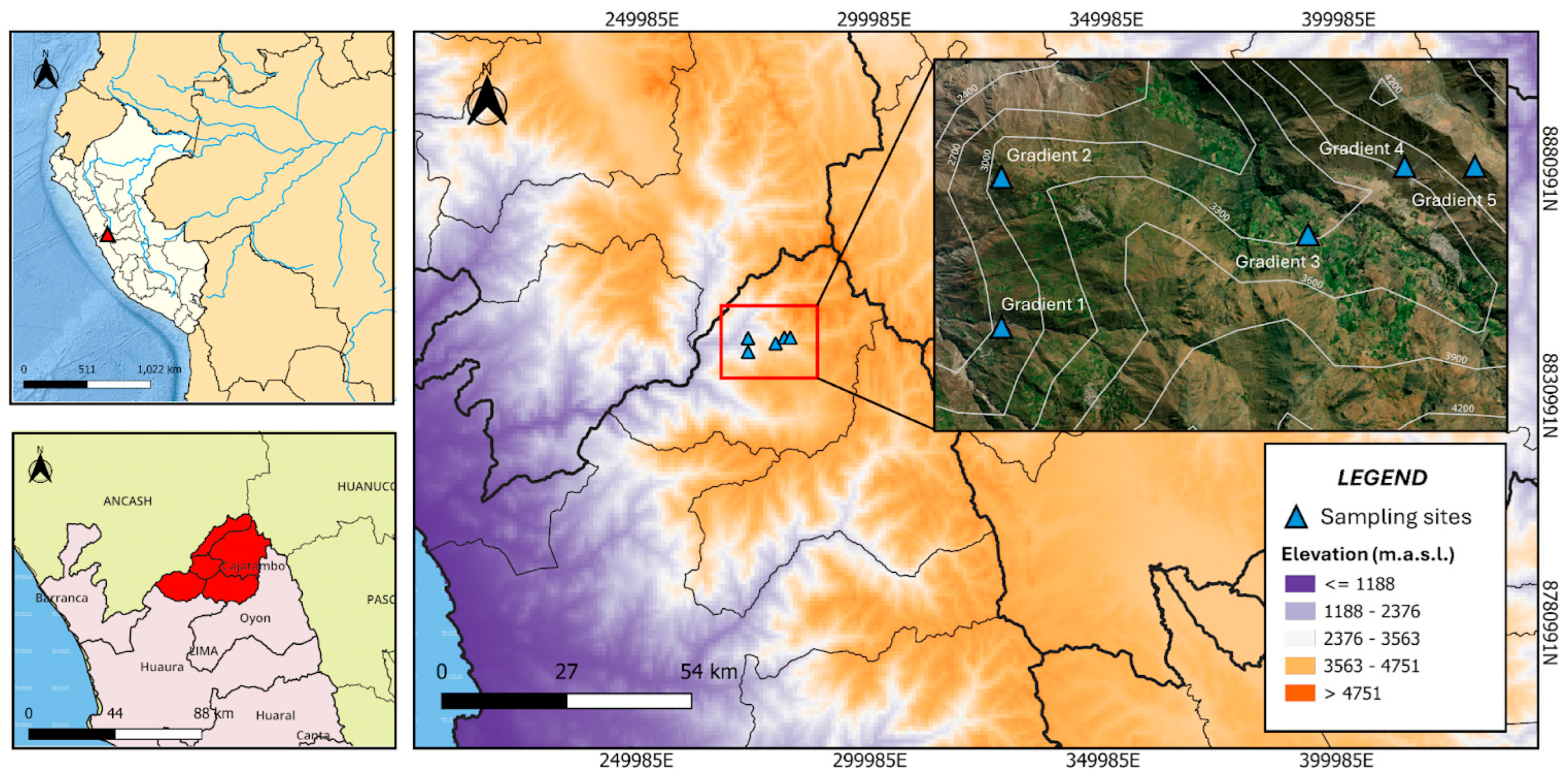 Plants 13 03328 g009