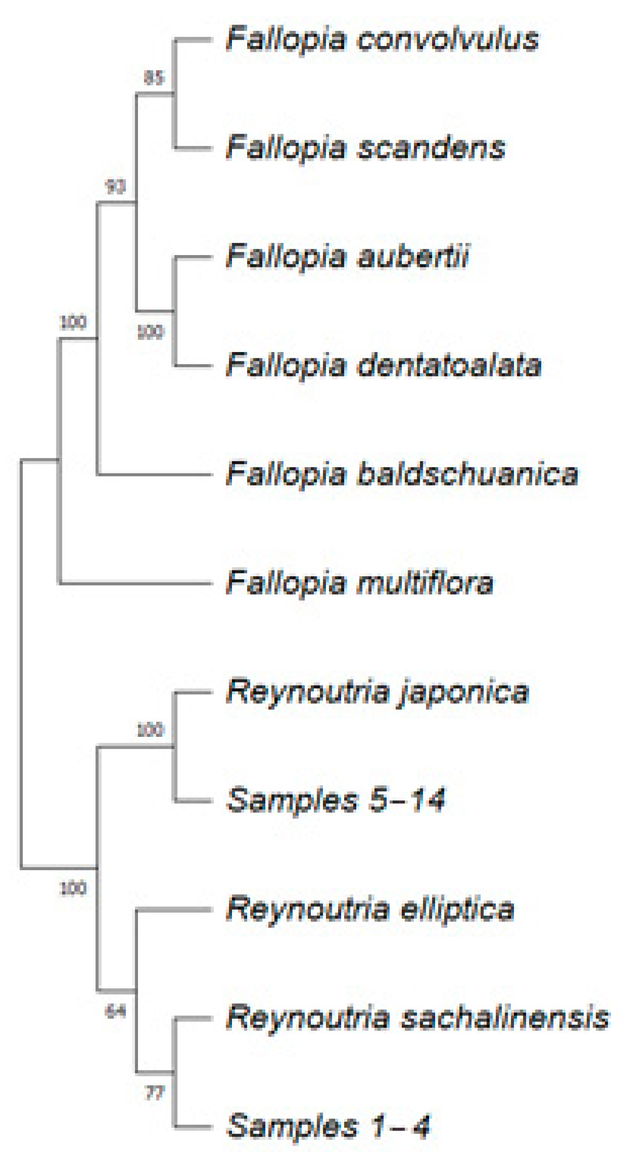 Plants 13 03330 g001 Plants 13 03330 g001