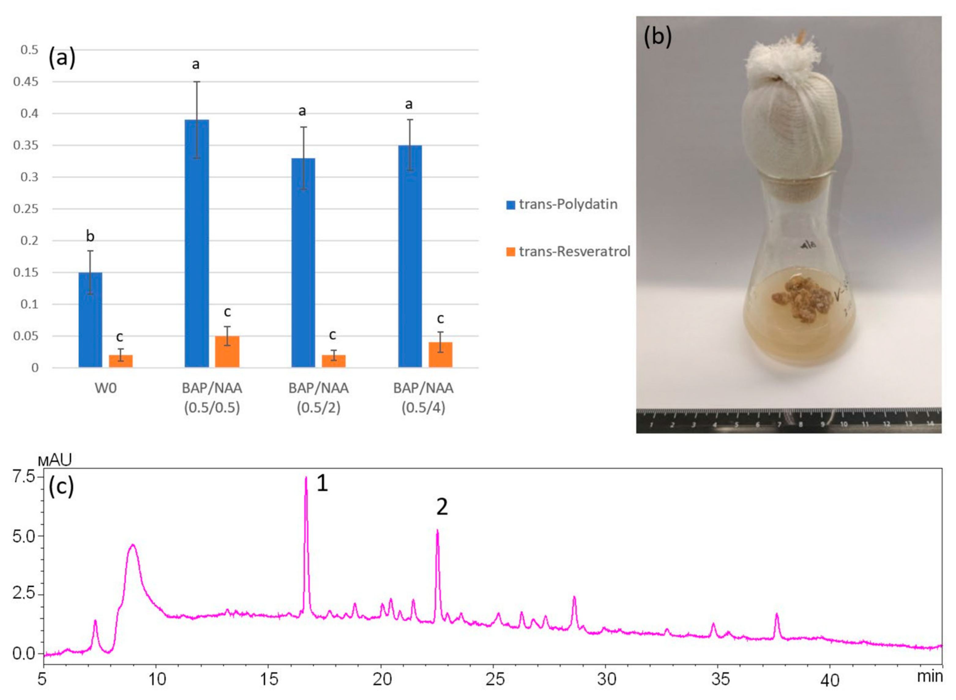 Plants 13 03330 g003 Plants 13 03330 g003