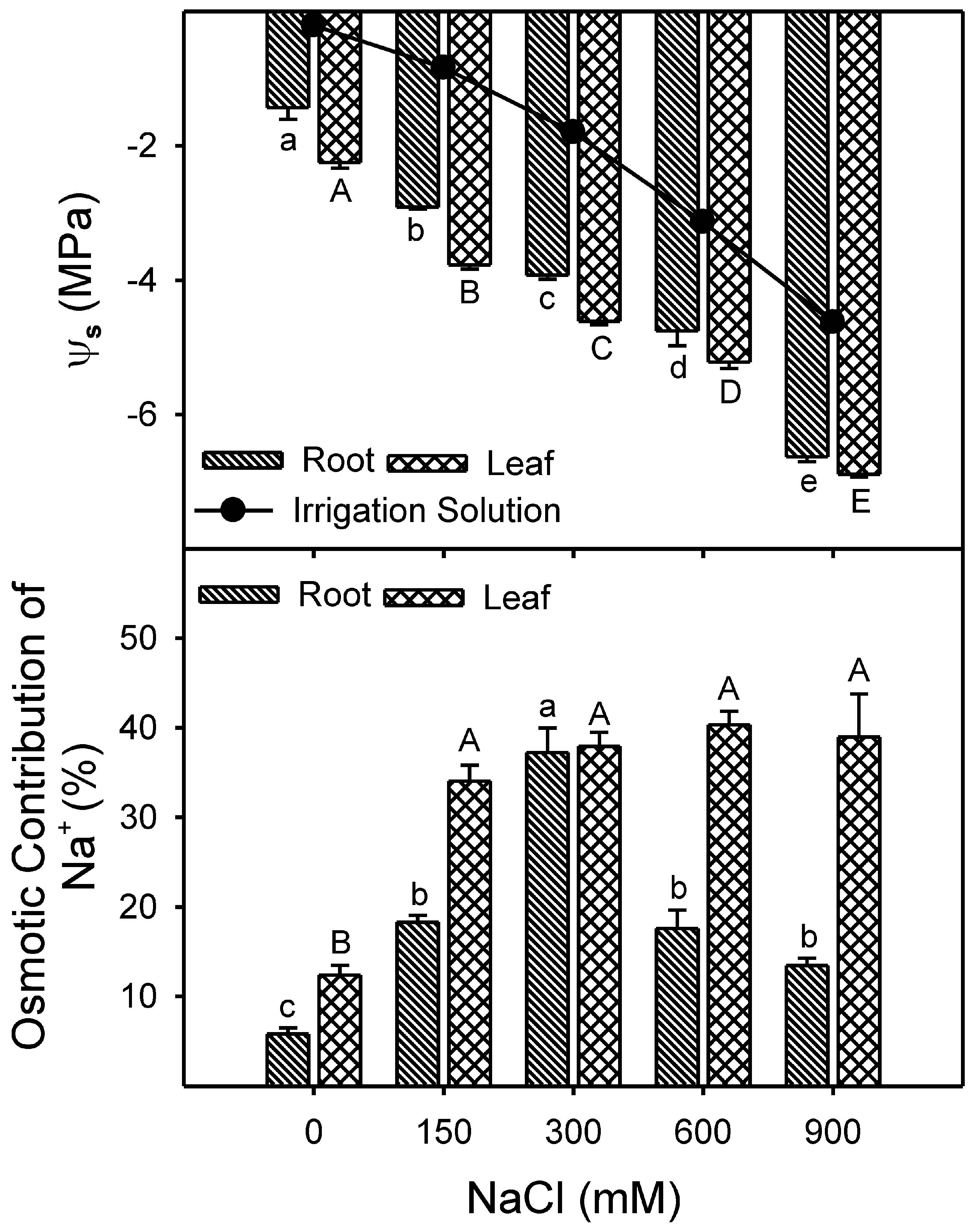 Plants 13 03332 g004