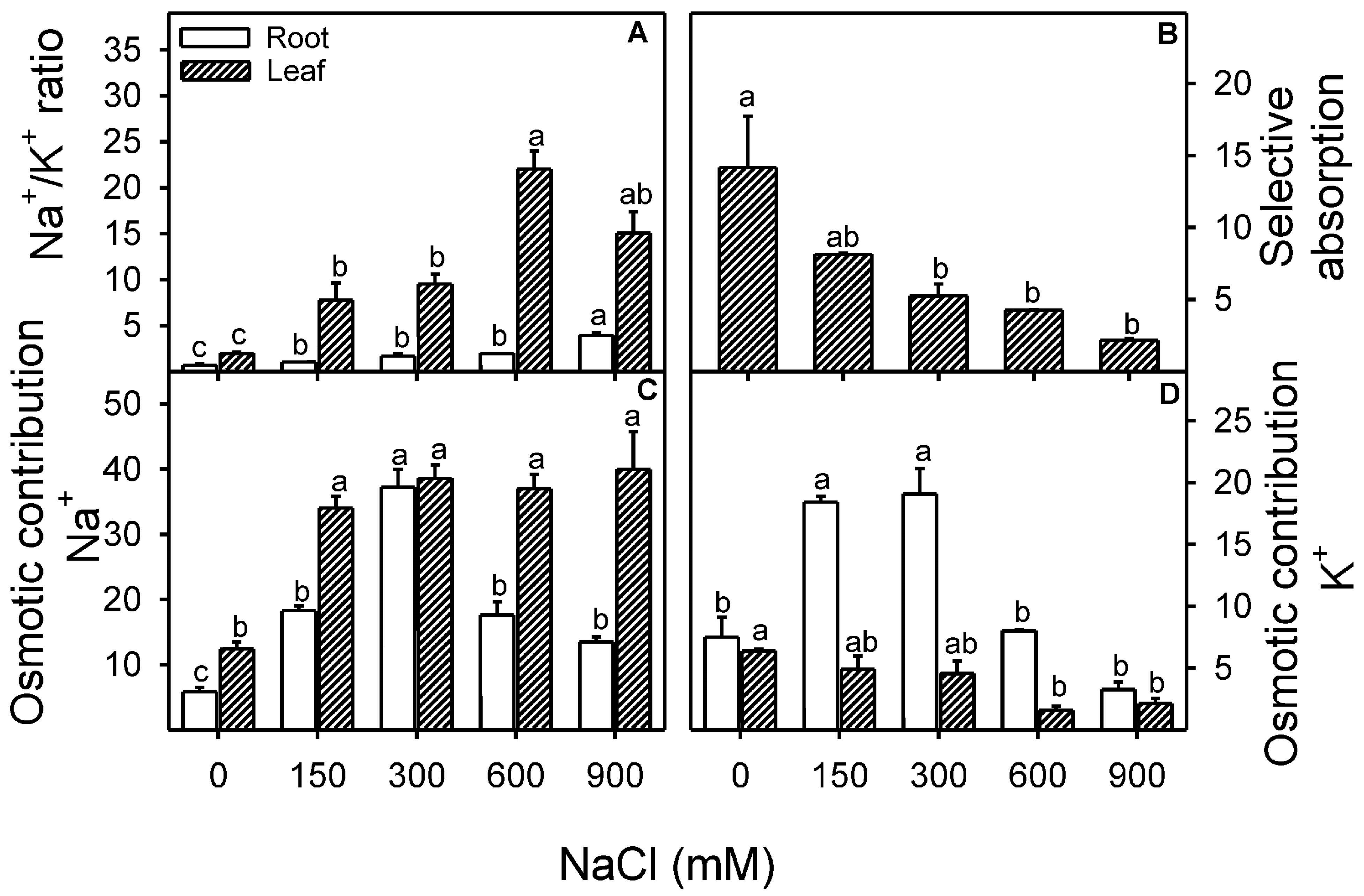 Plants 13 03332 g006
