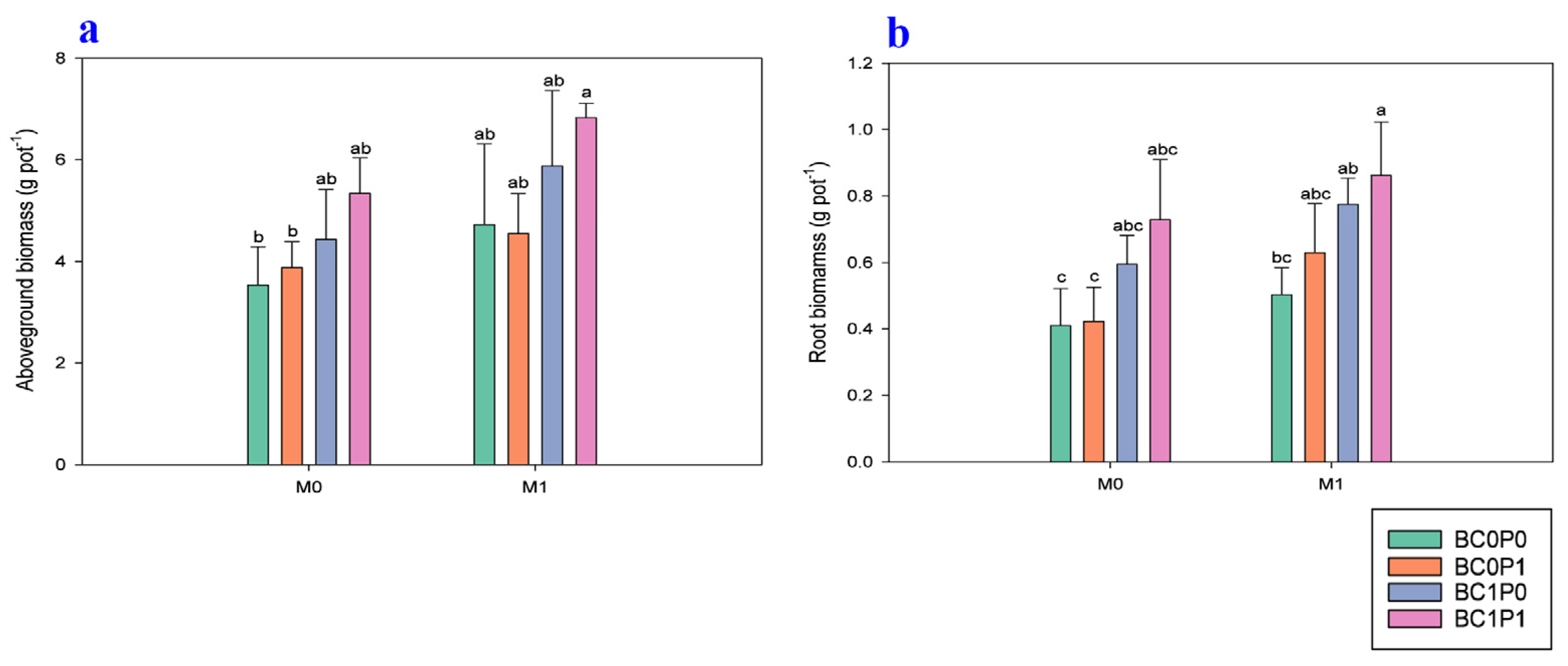 Plants 13 03333 g001