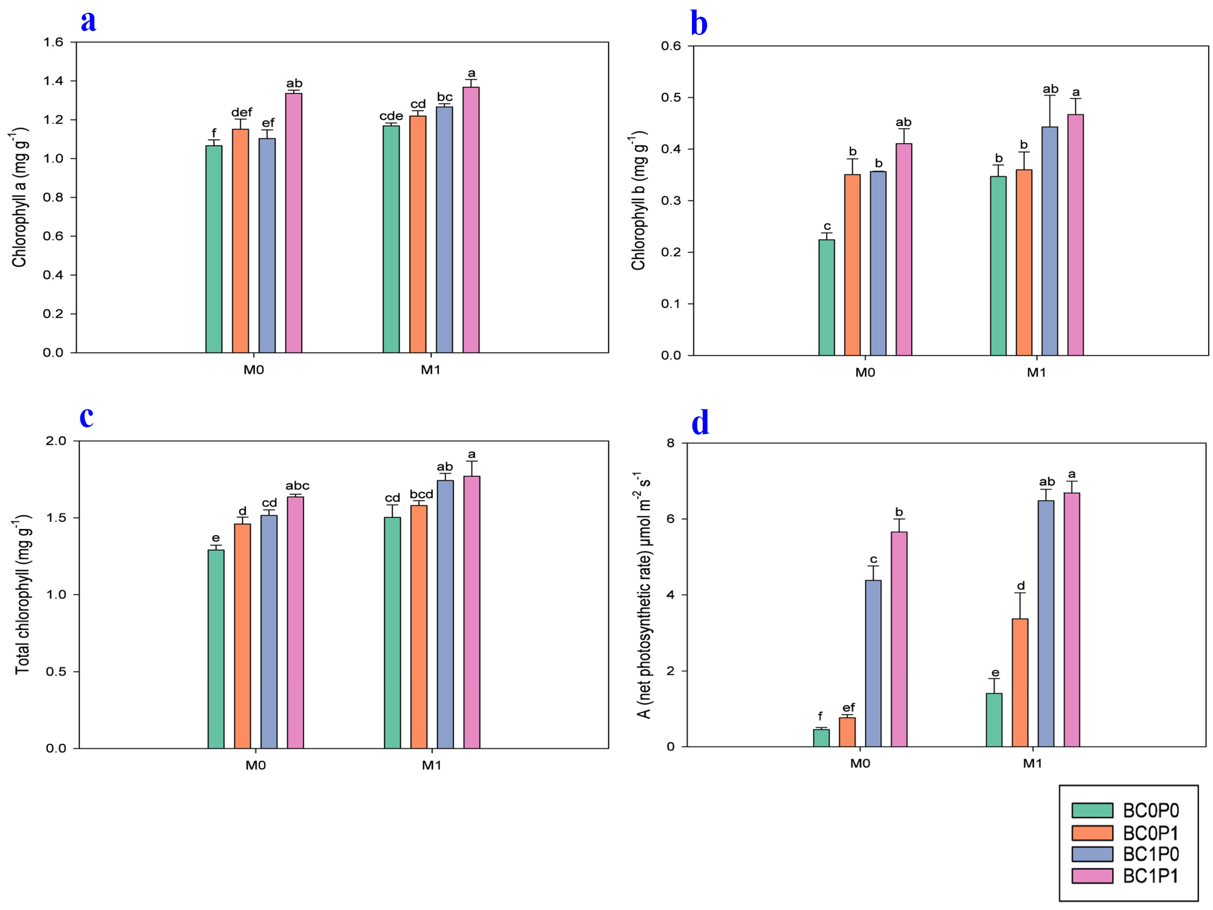 Plants 13 03333 g003