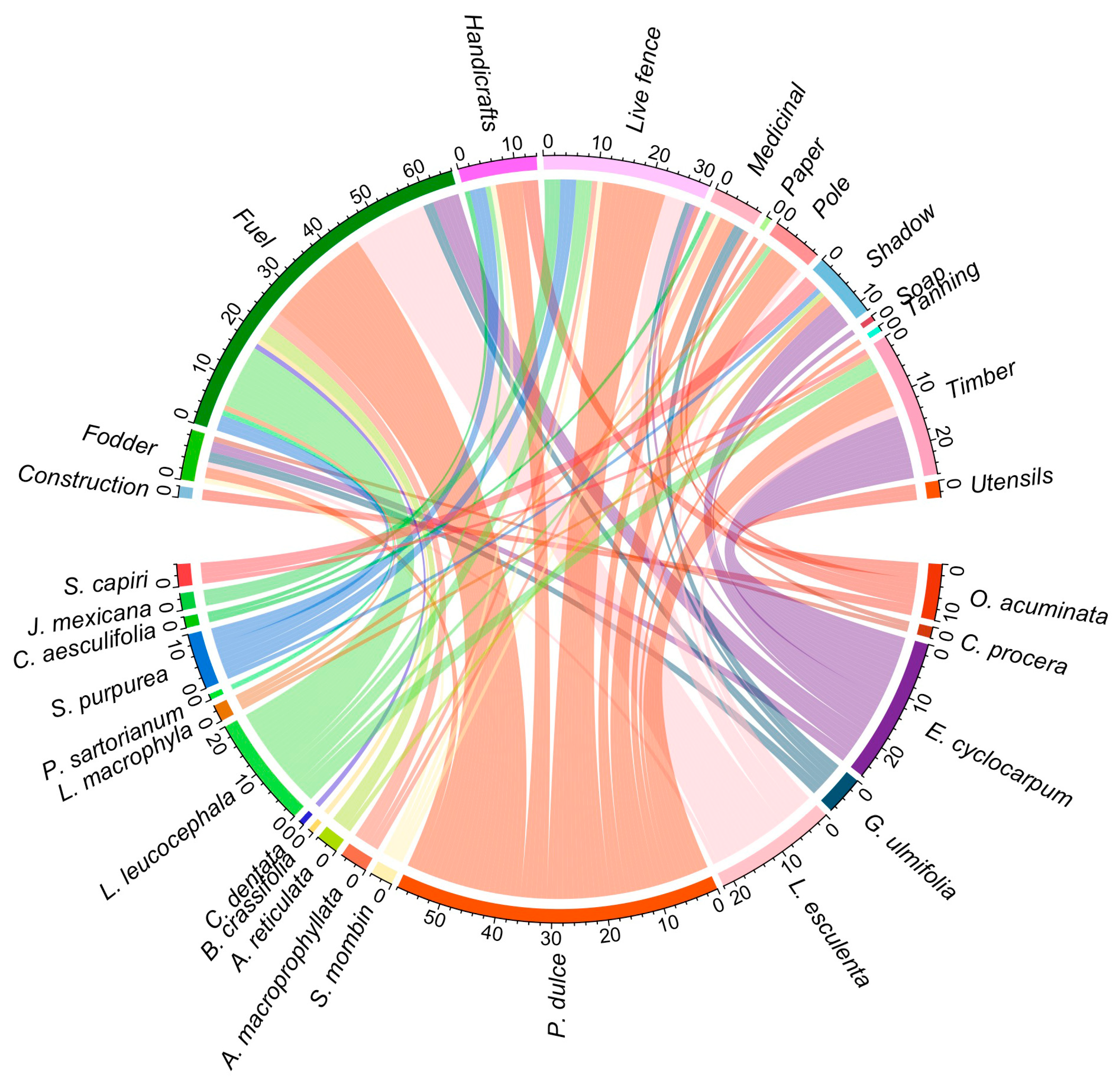 Plants 13 03334 g004
