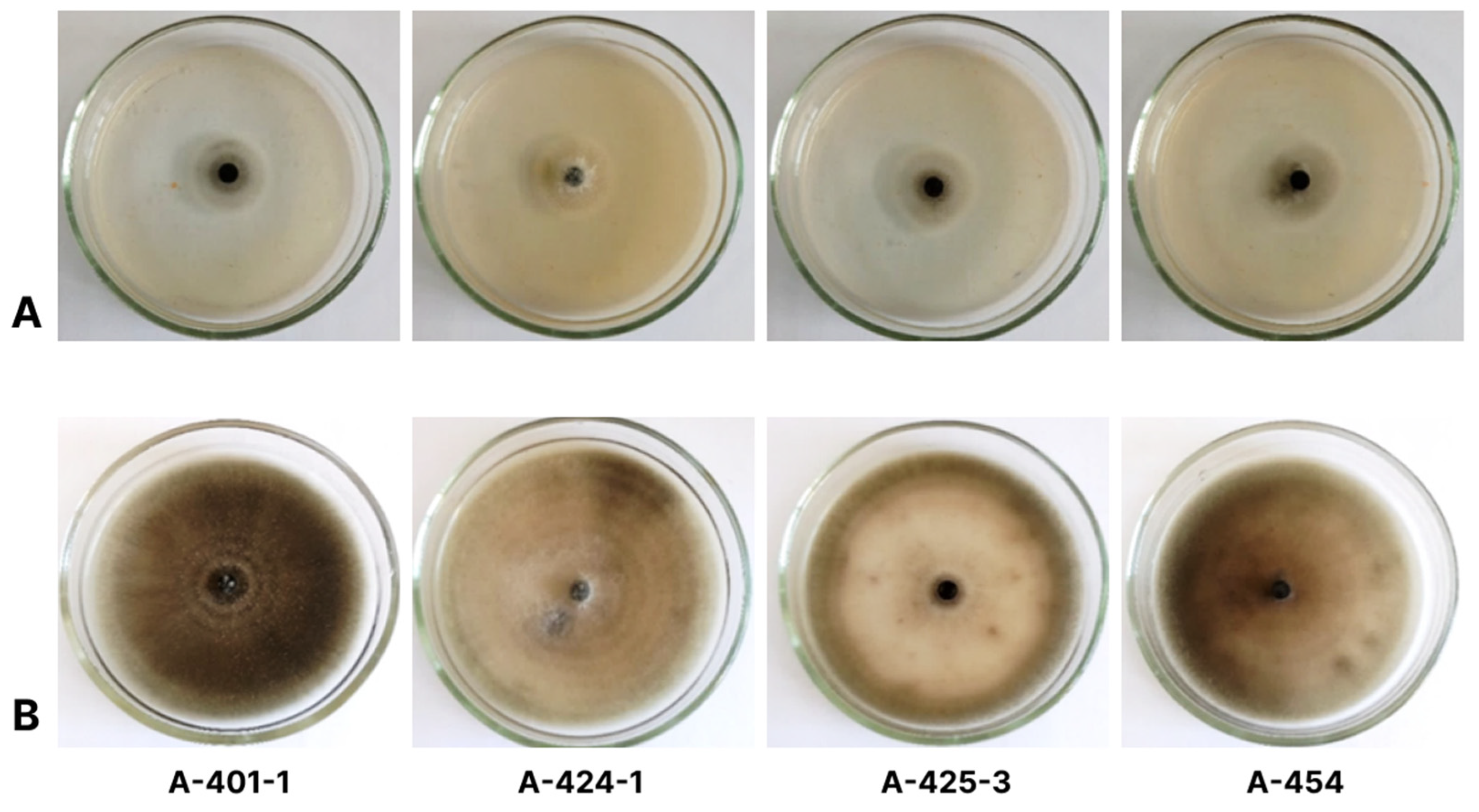 Plants 13 03335 g002