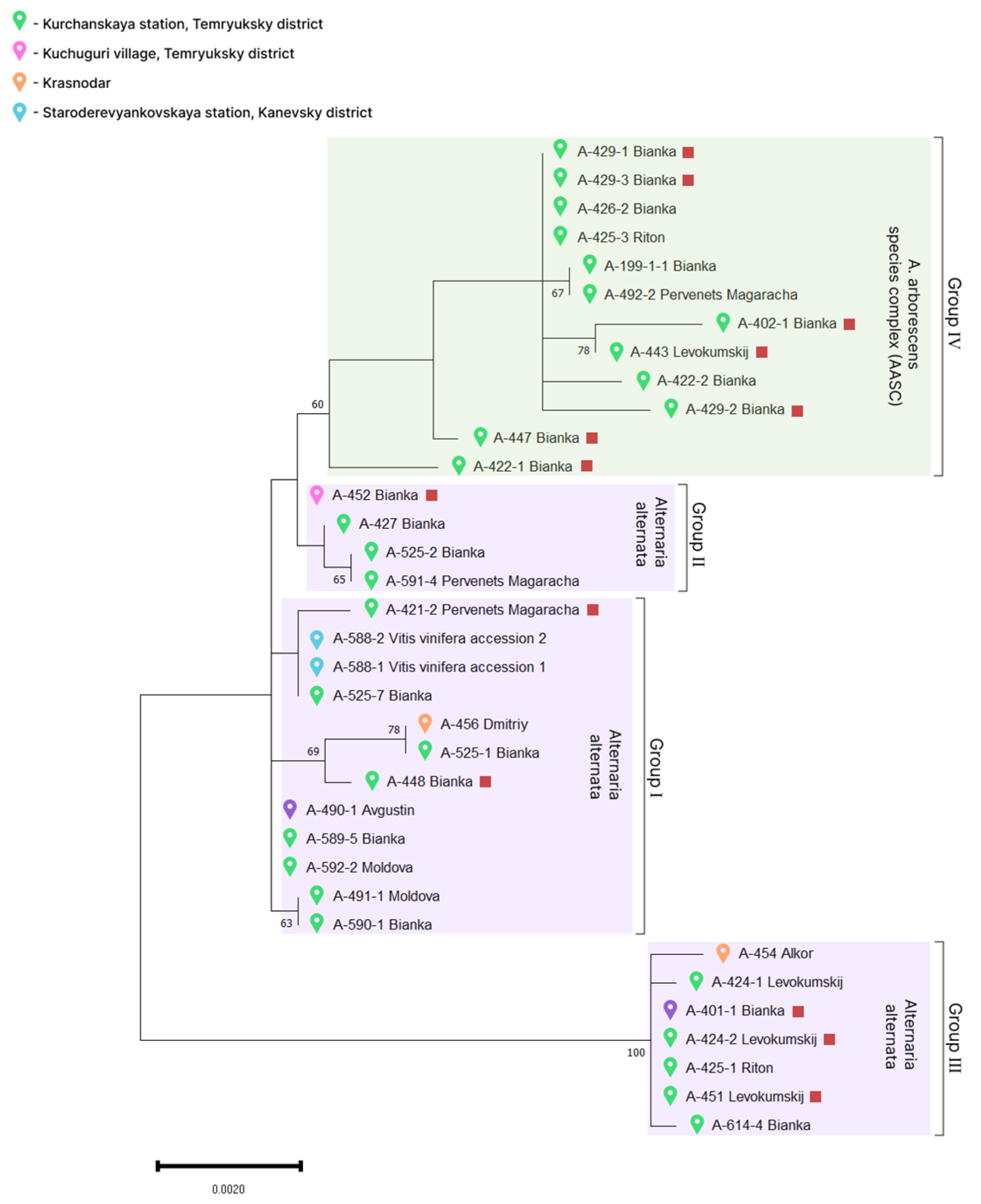 Plants 13 03335 g005