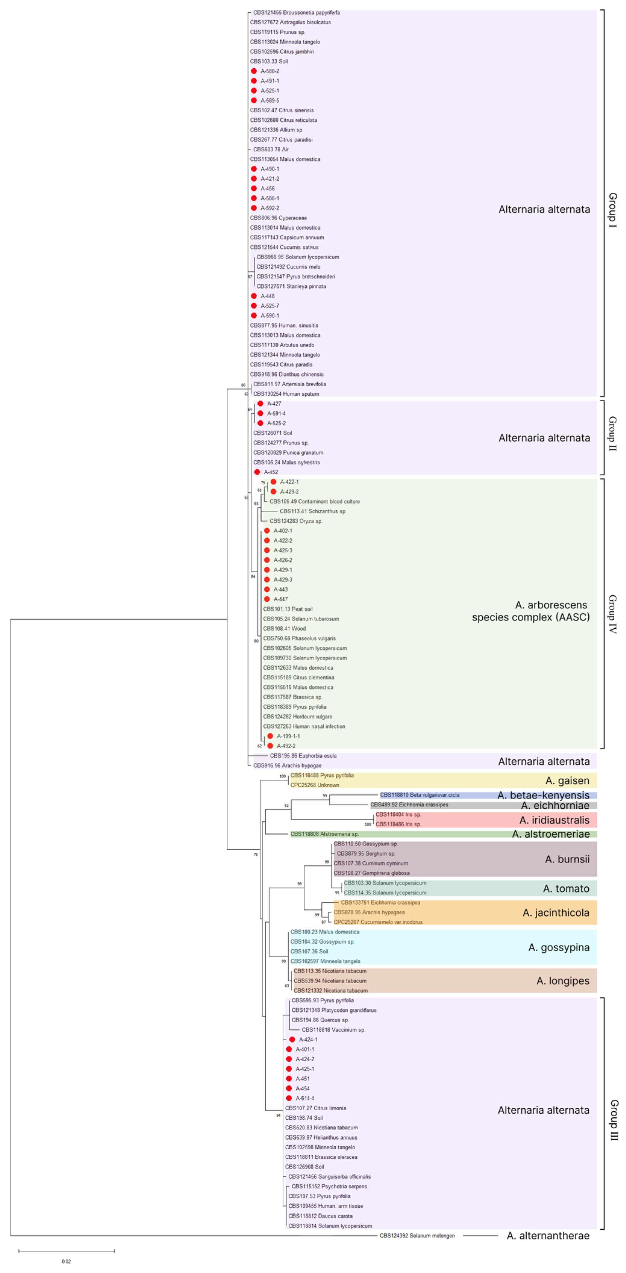 Plants 13 03335 g006