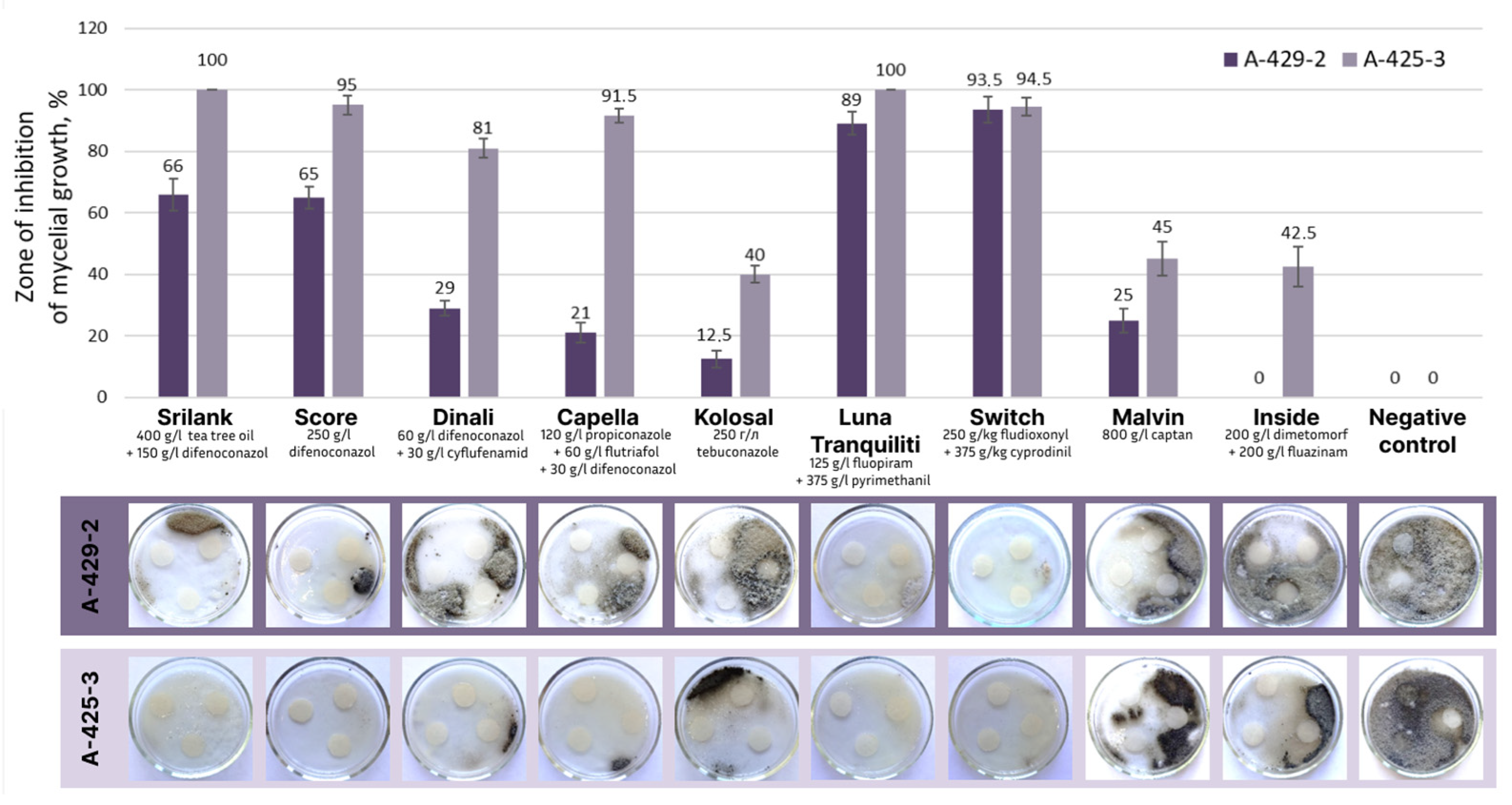 Plants 13 03335 g007