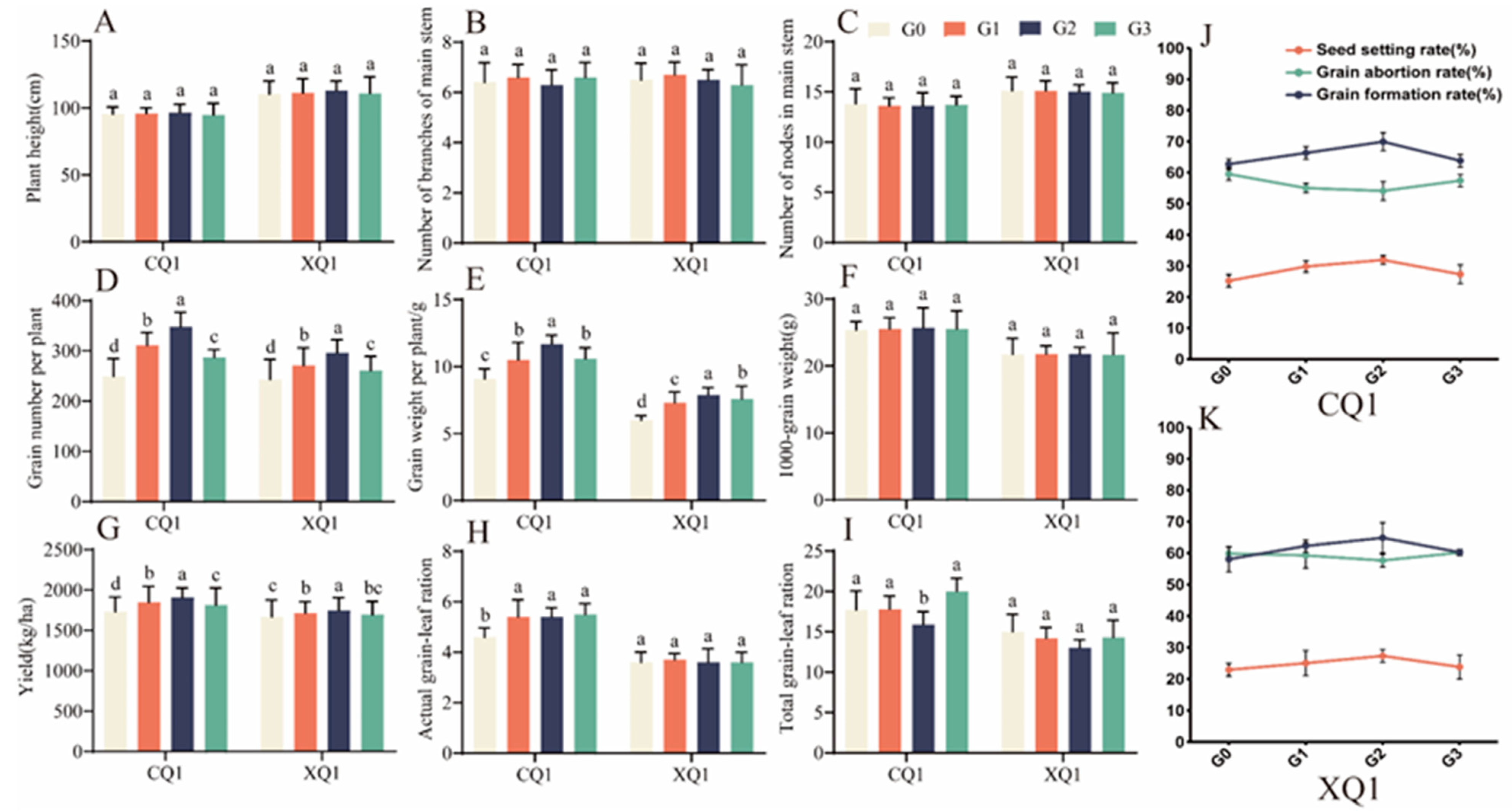 Plants 13 03336 g002