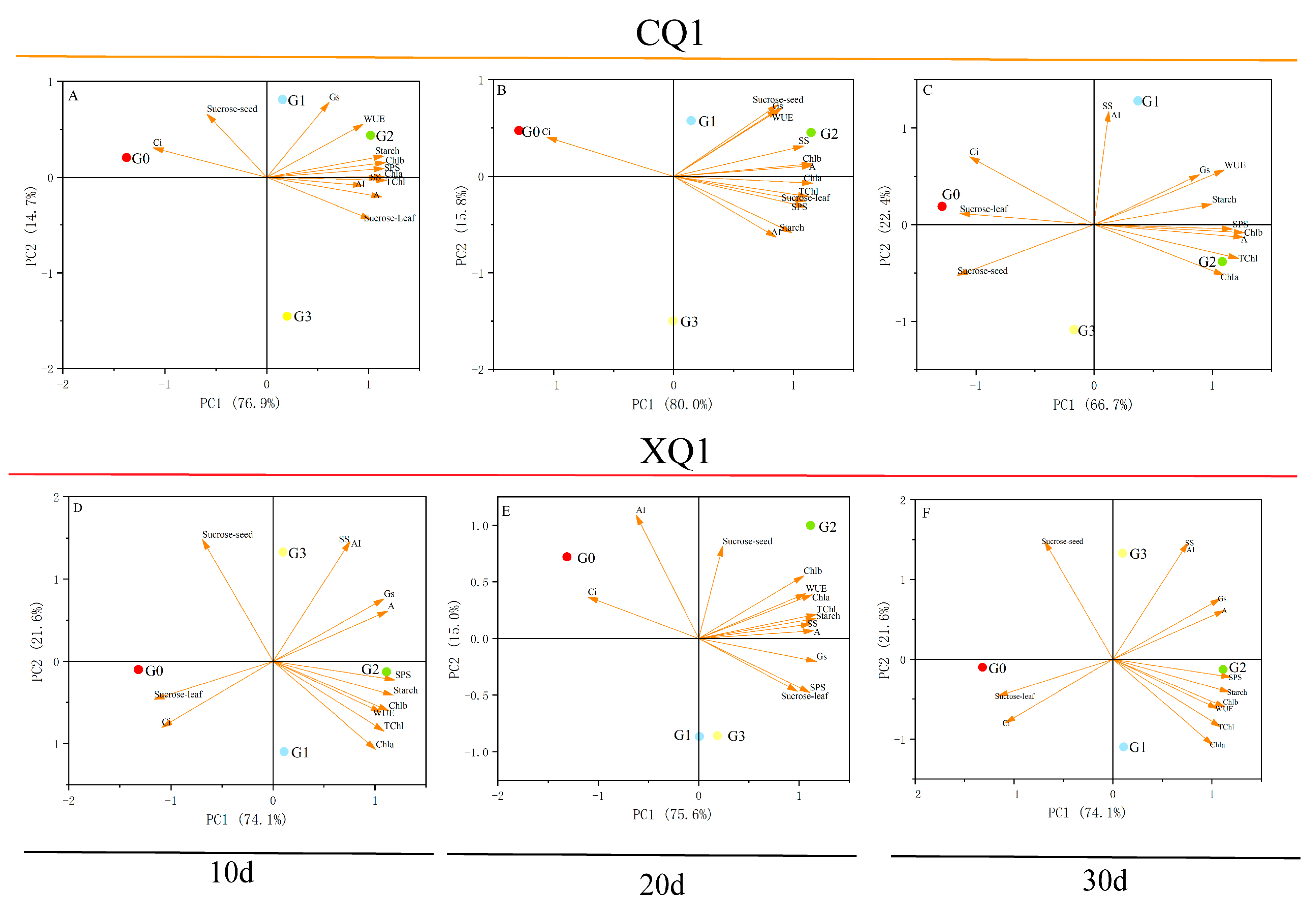 Plants 13 03336 g006