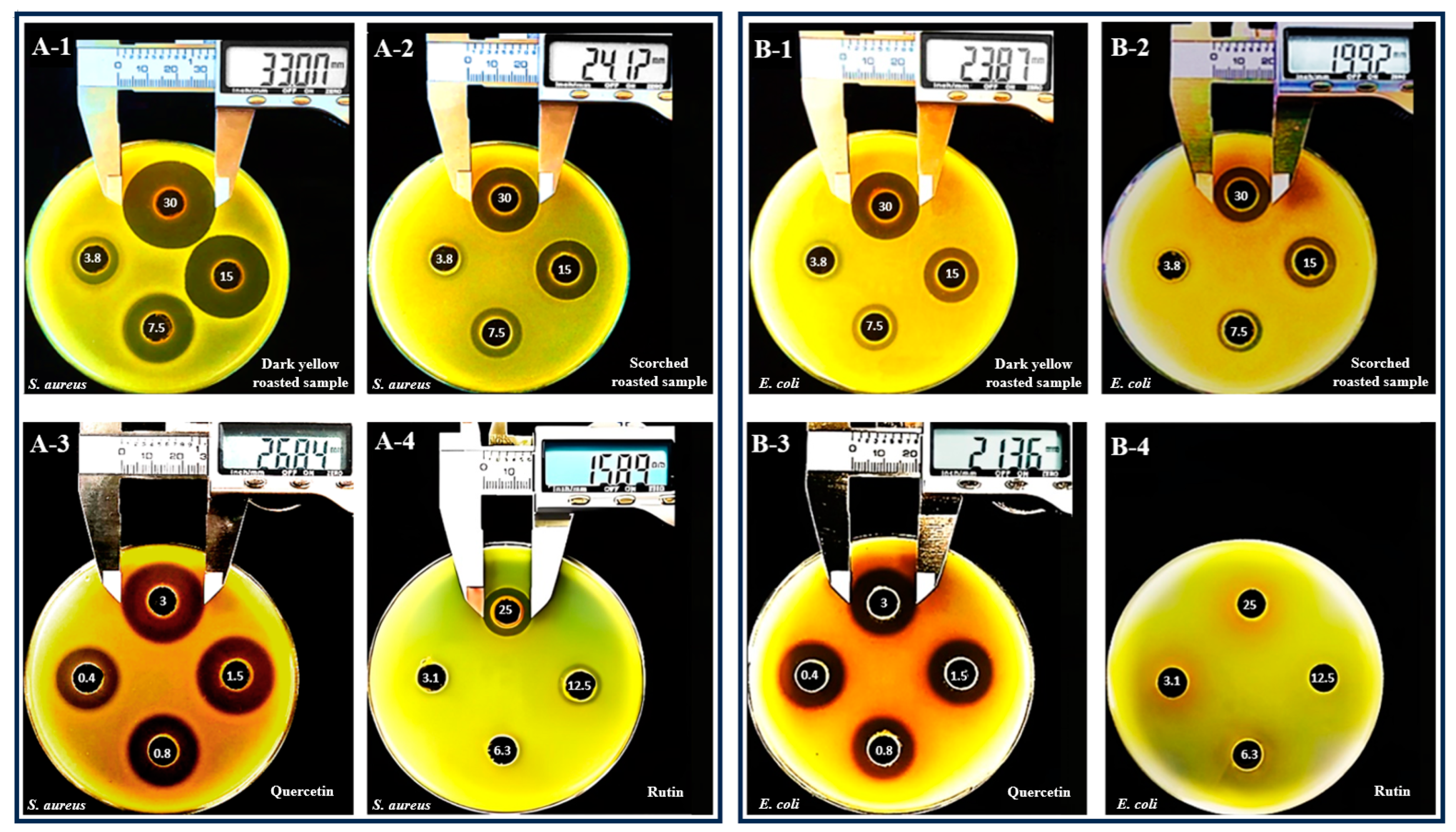 Plants 13 03337 g003 Plants 13 03337 g003